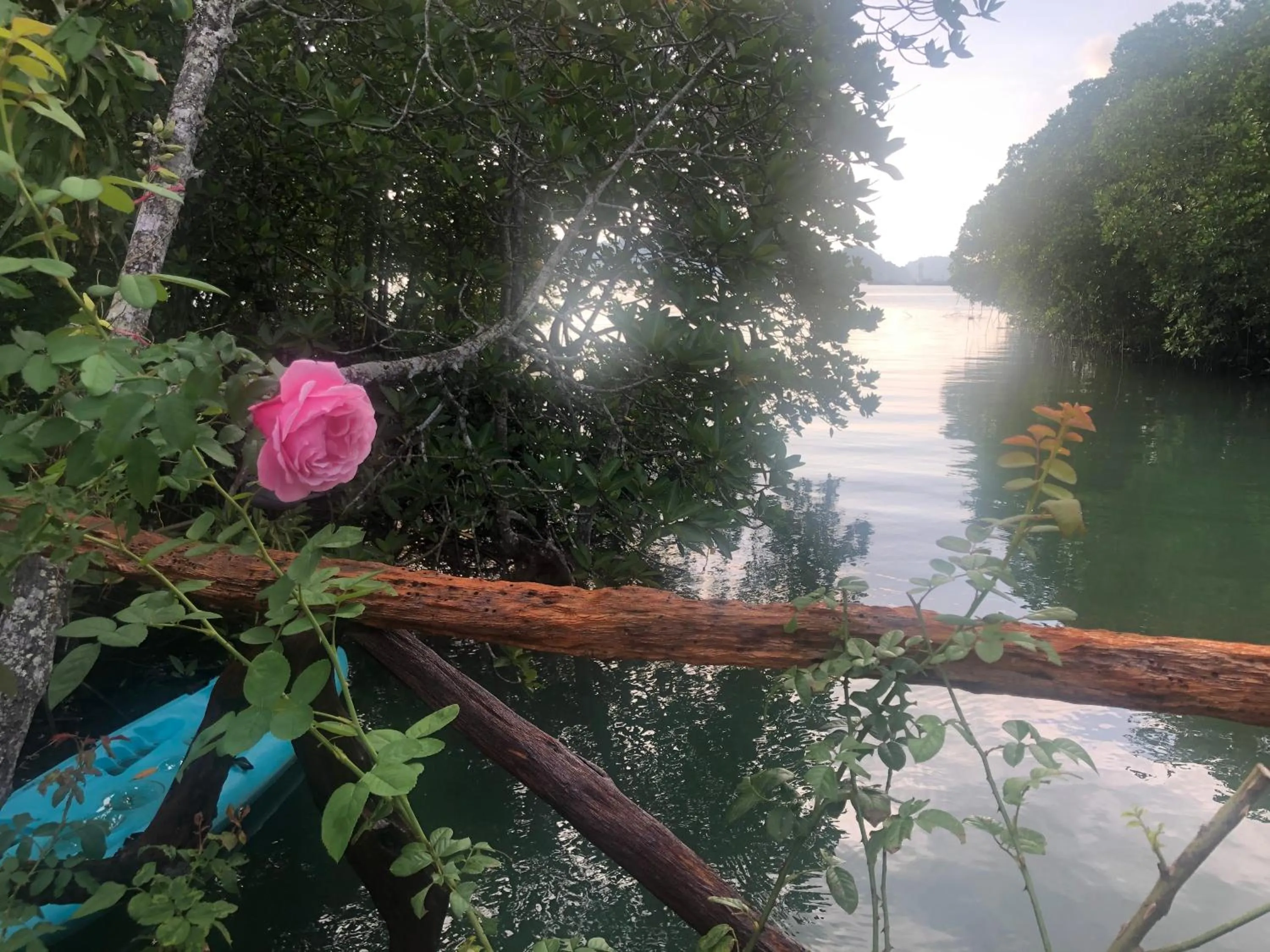 Property building in Baan Chan Lay Koh Chang