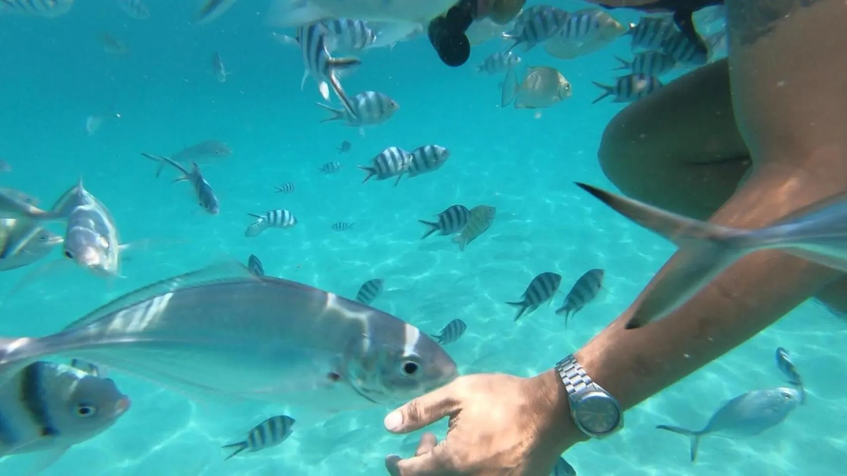 Snorkeling in Baan Chan Lay Koh Chang