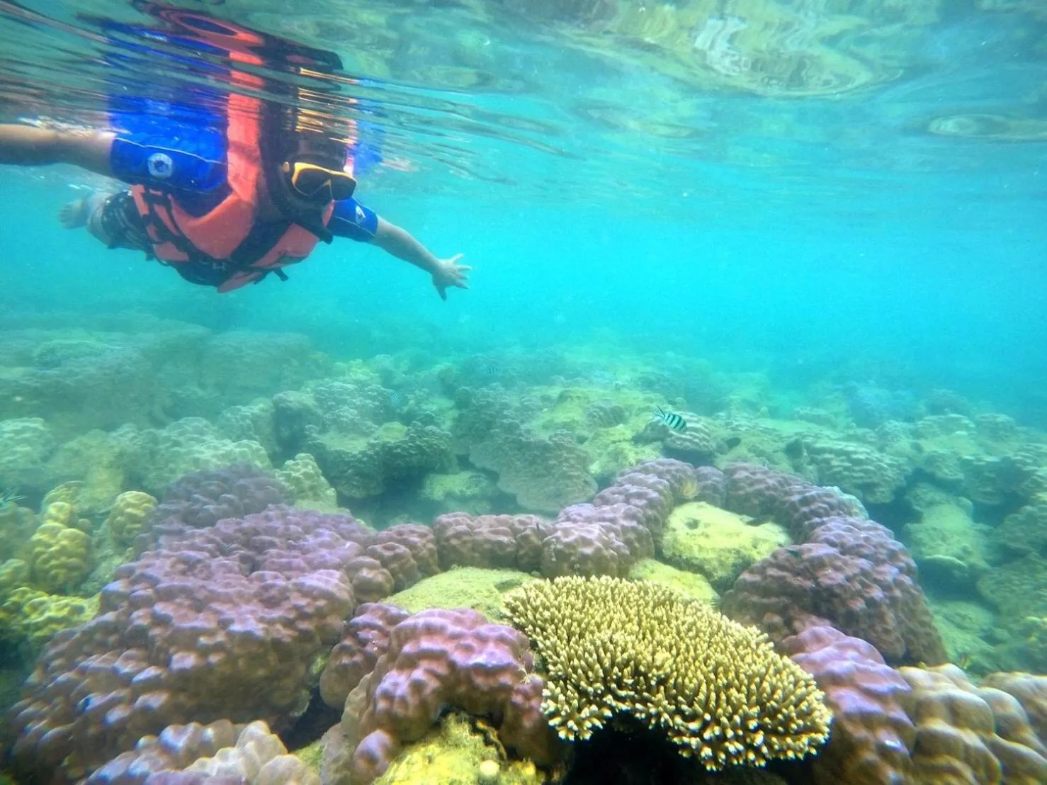 Snorkeling in Baan Chan Lay Koh Chang