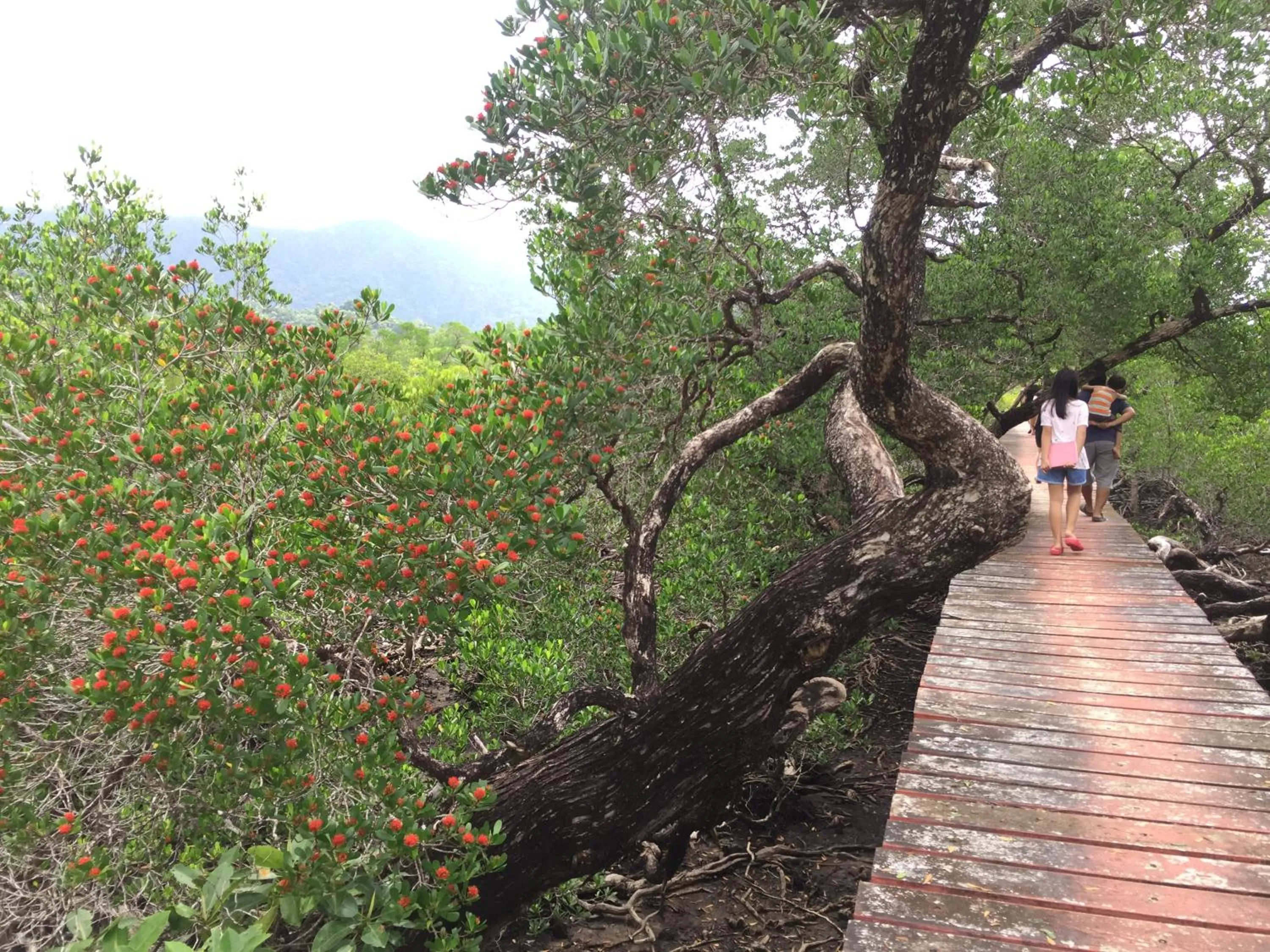 Other in Baan Chan Lay Koh Chang