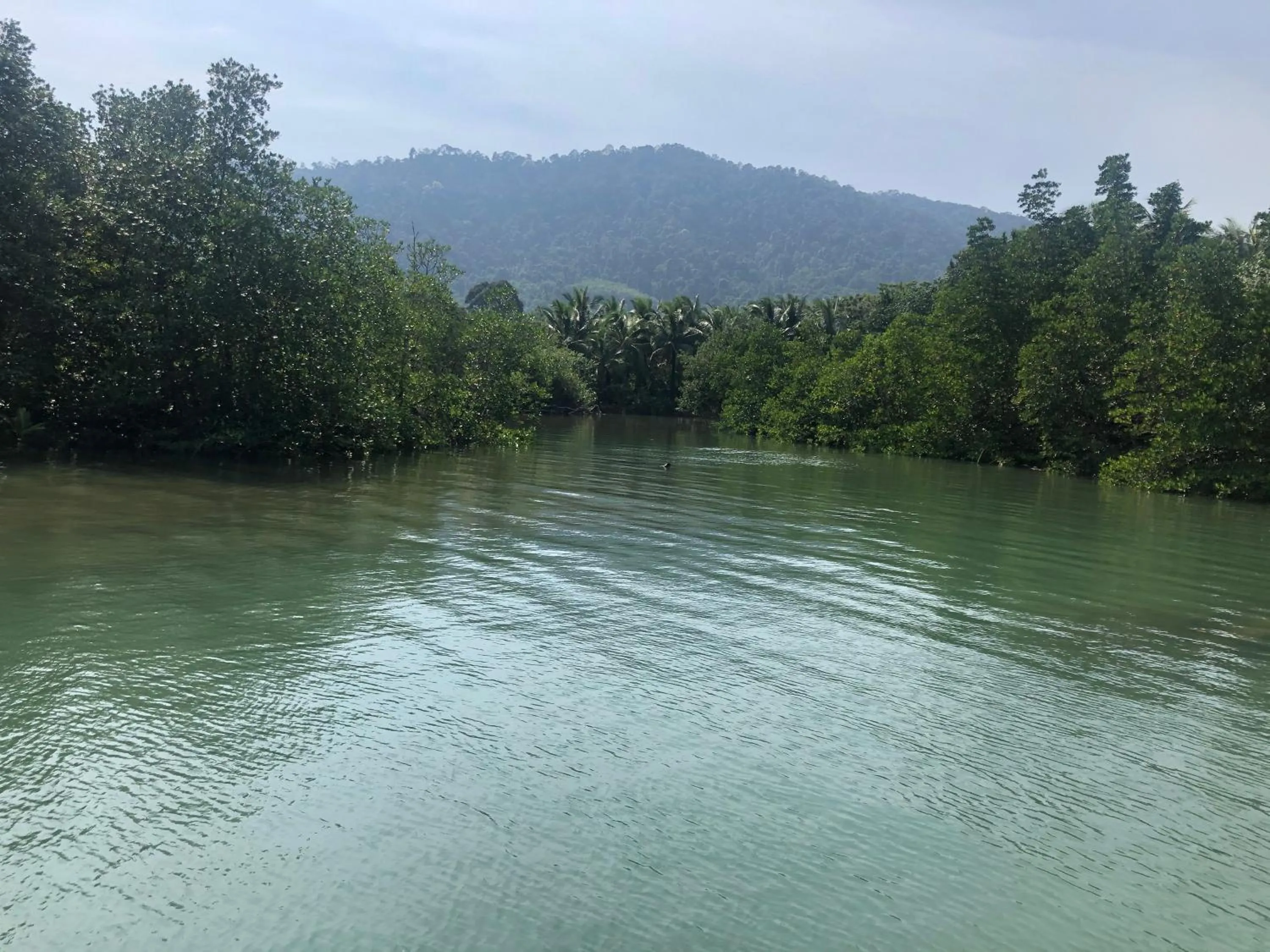 Property building in Baan Chan Lay Koh Chang