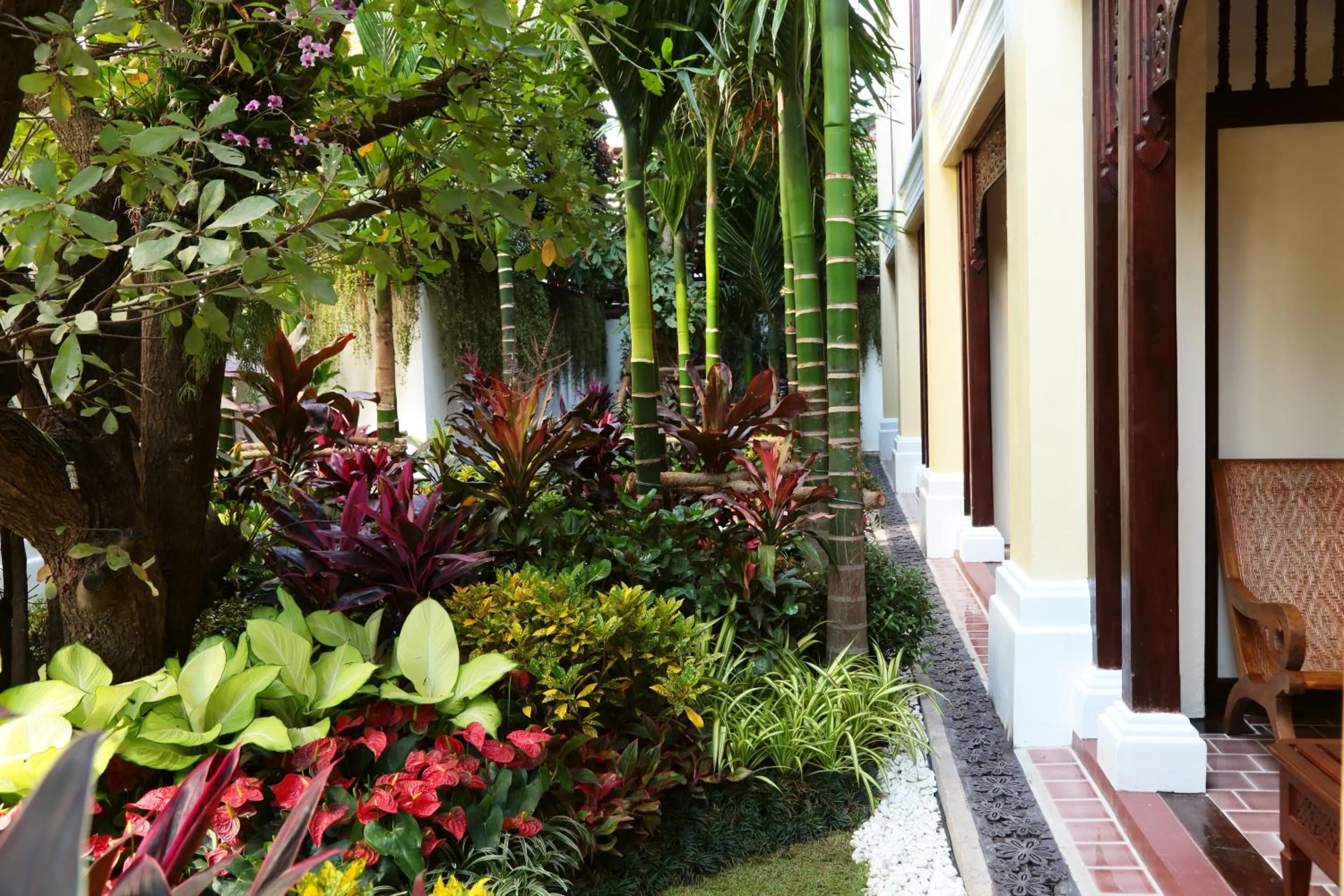 Natural landscape in Viangluang Resort