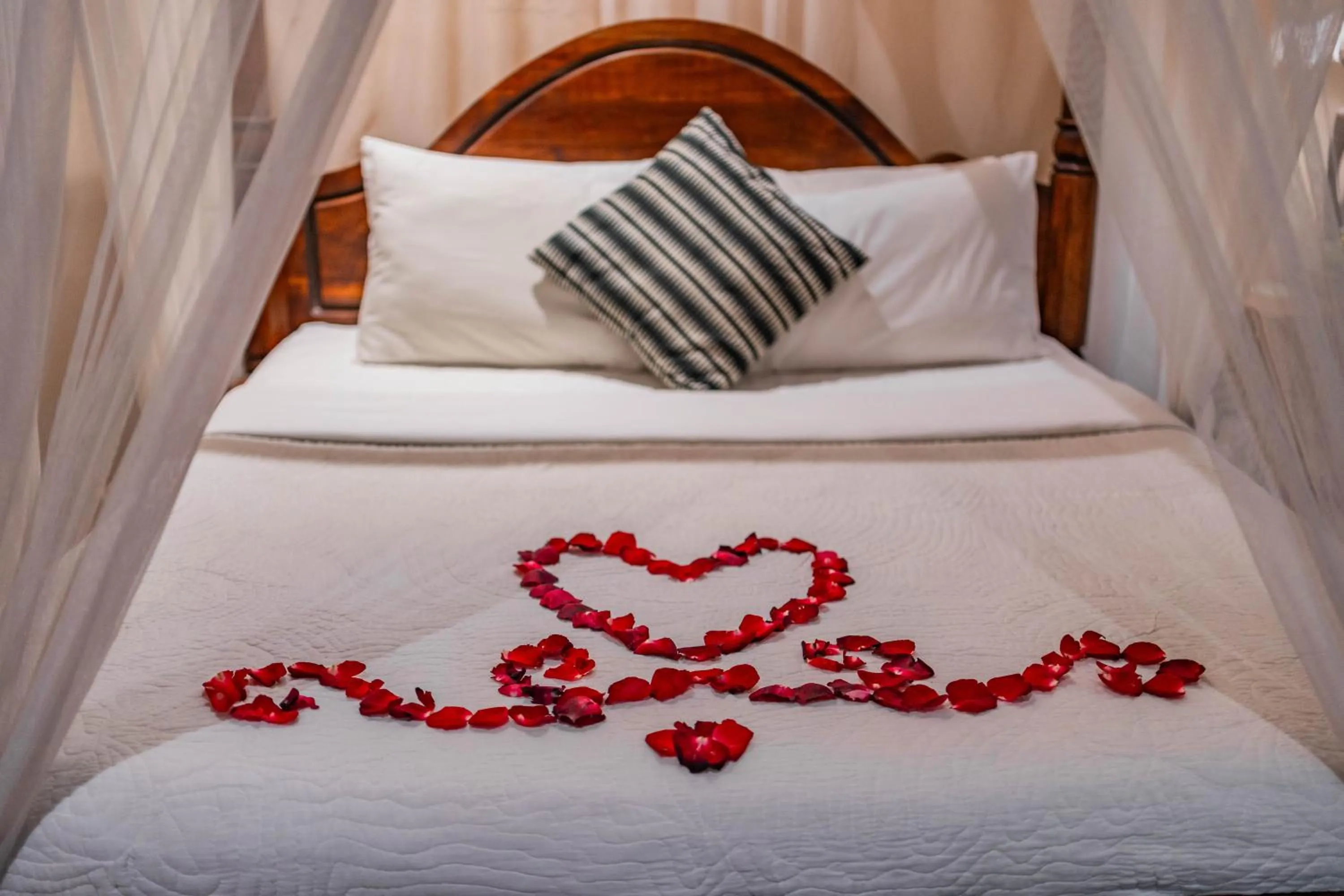 Bed in Honeymoon Guesthouse