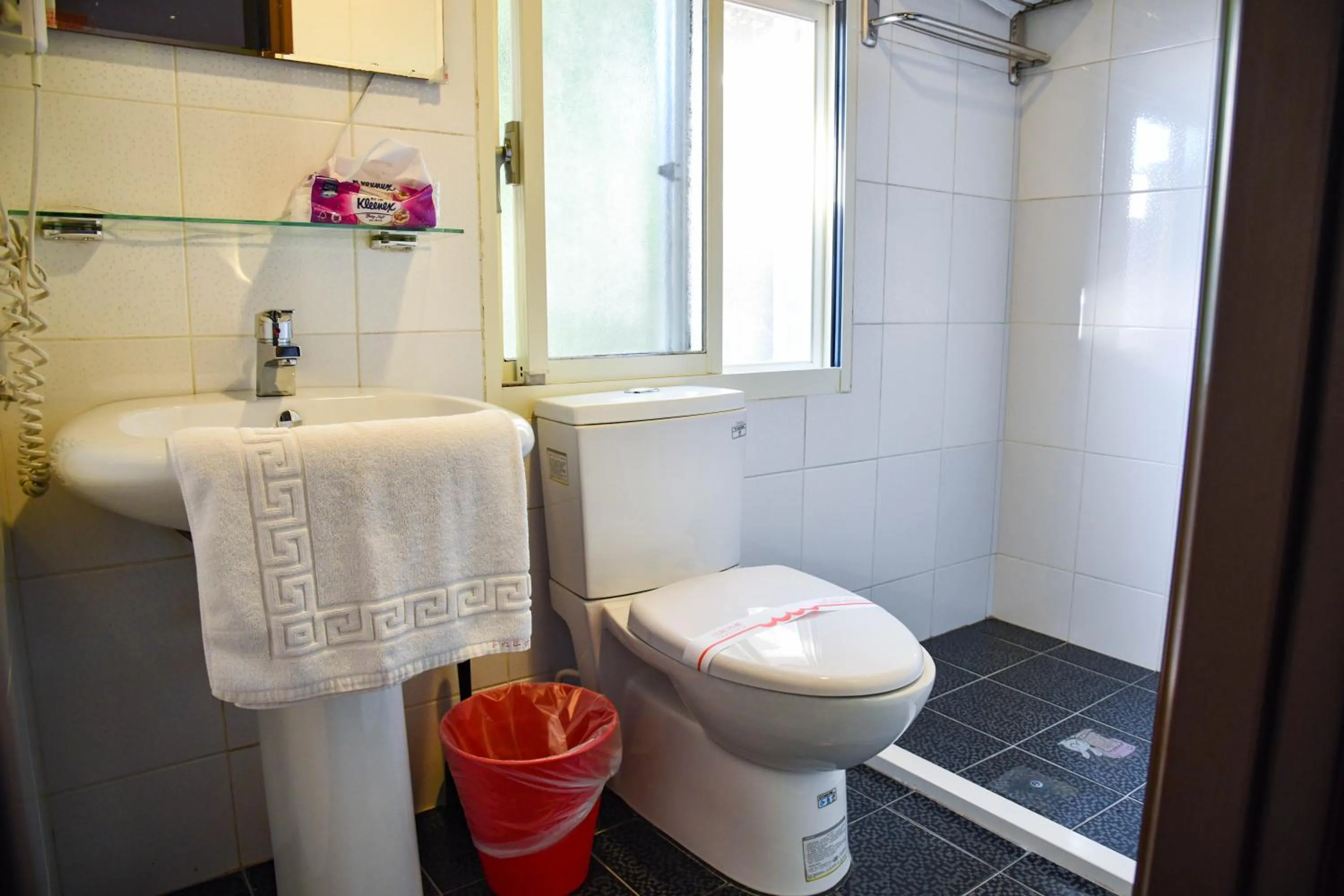 Toilet in Way Young House