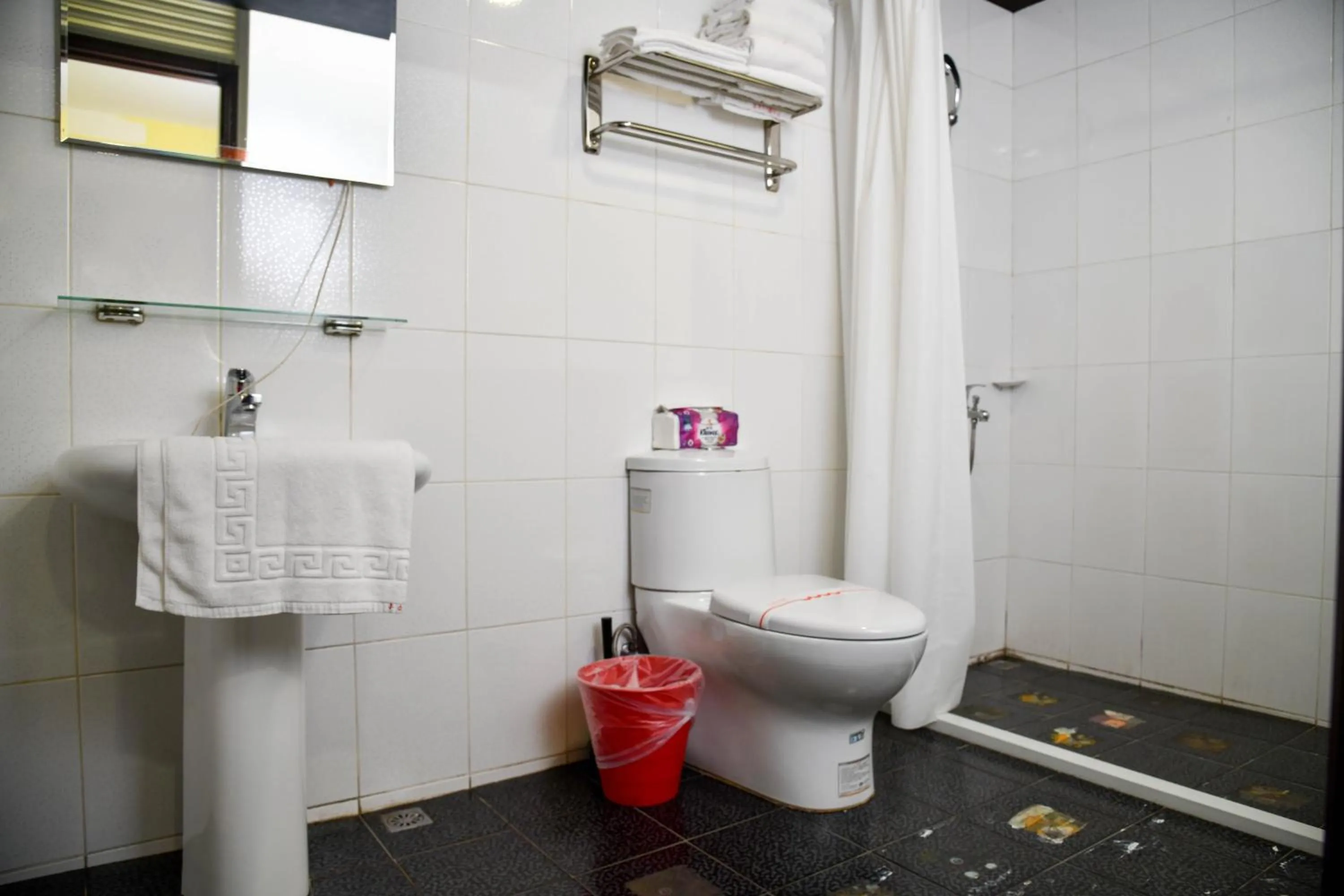 Toilet in Way Young House