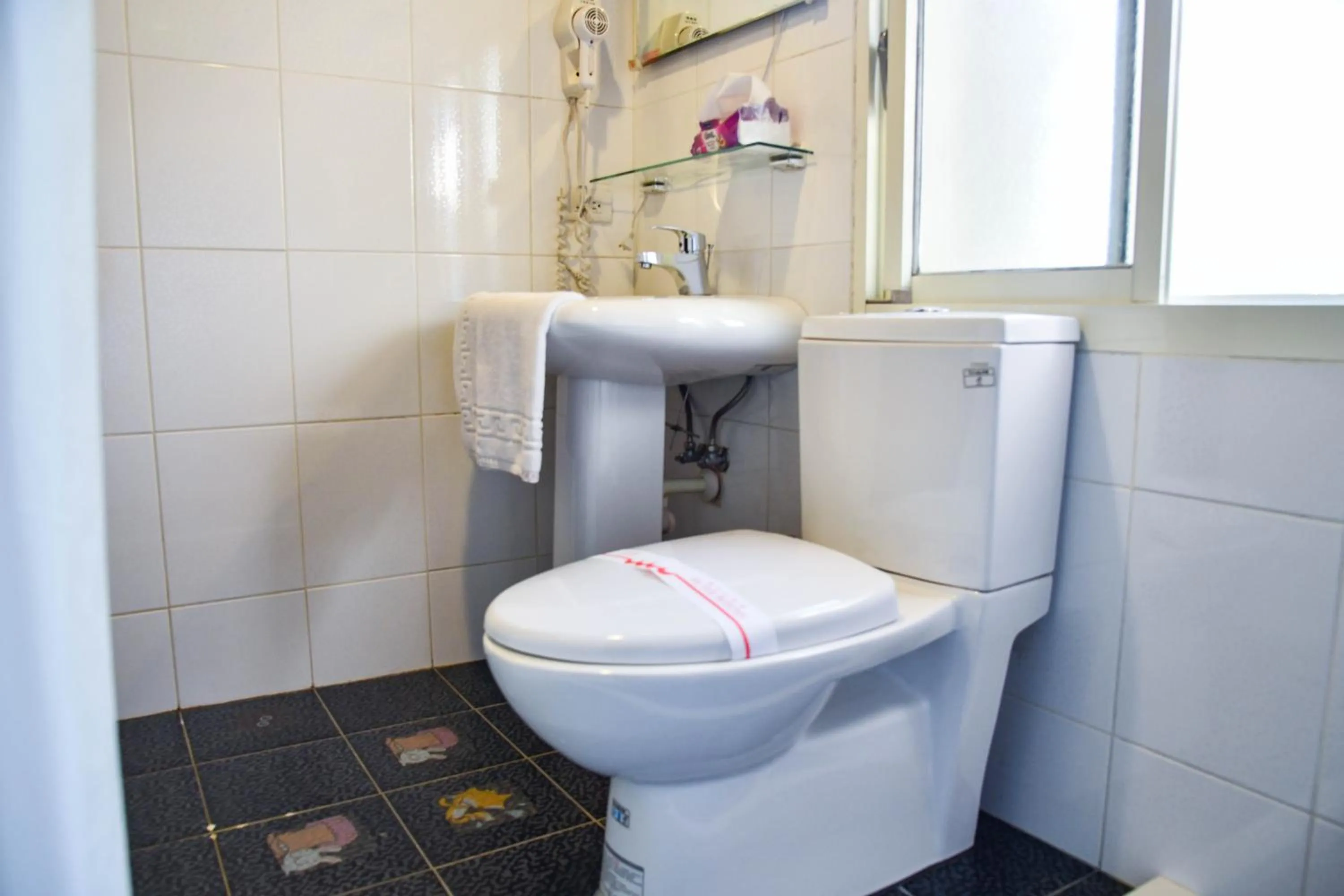 Toilet in Way Young House