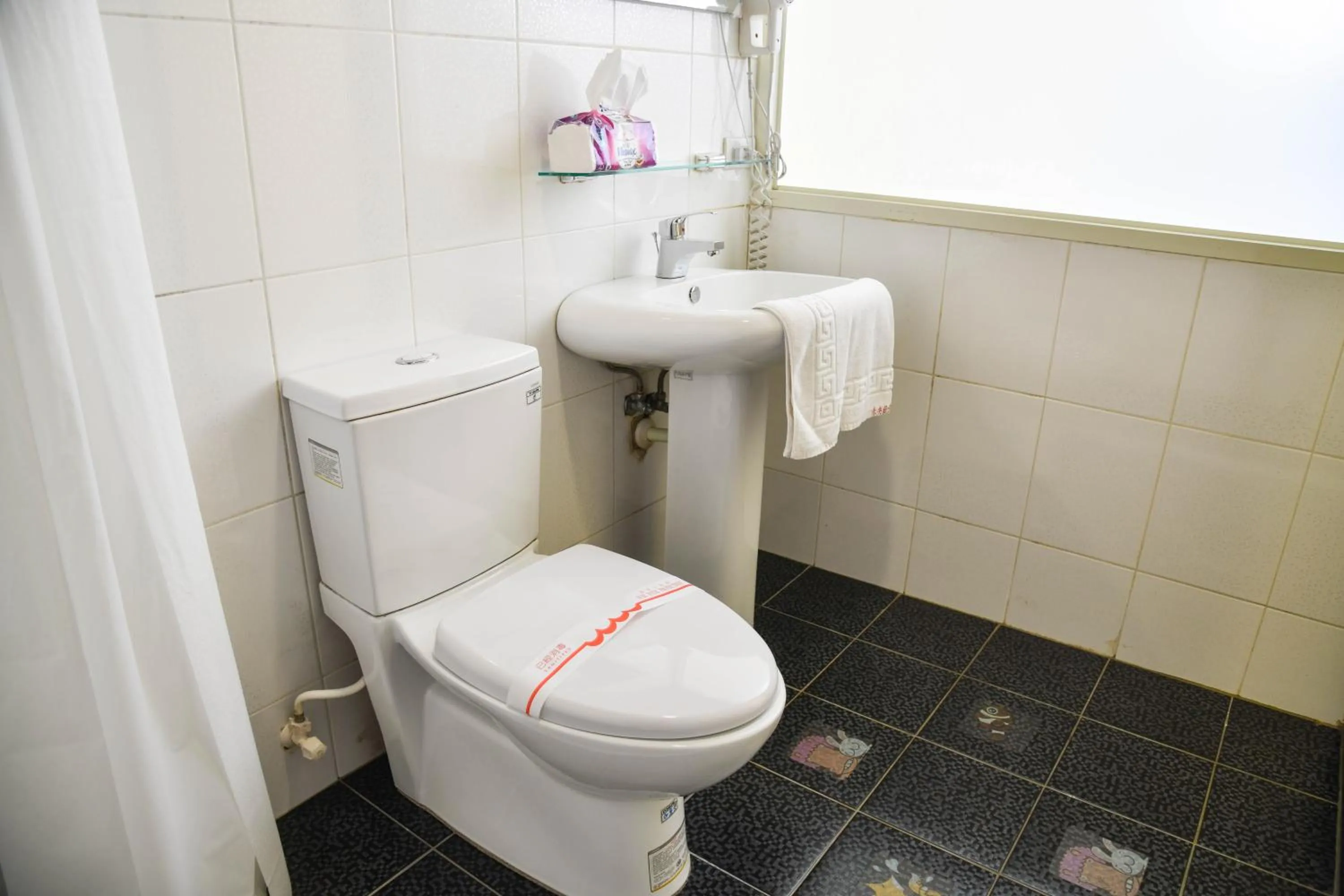 Toilet in Way Young House