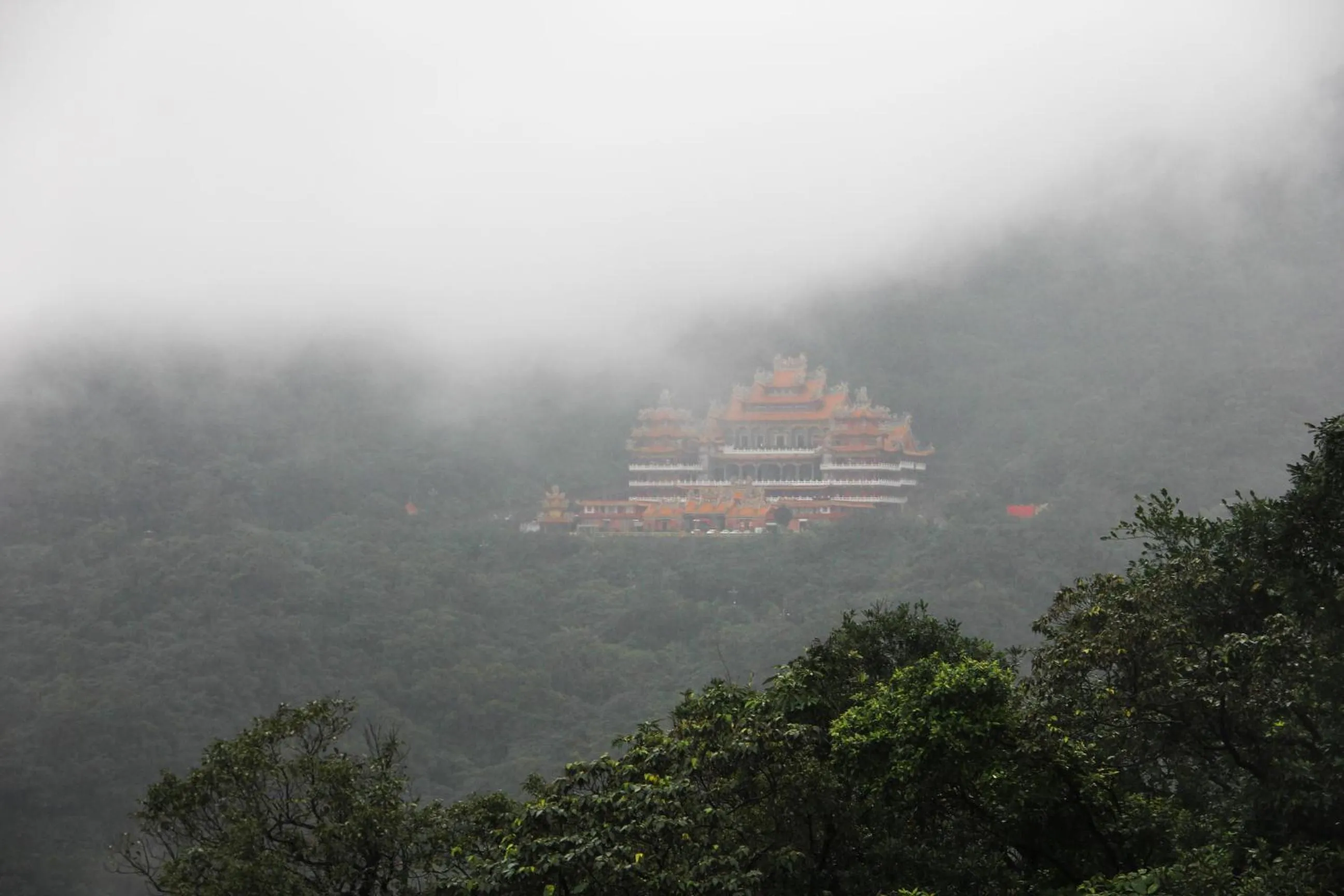 Spring in Way Young House