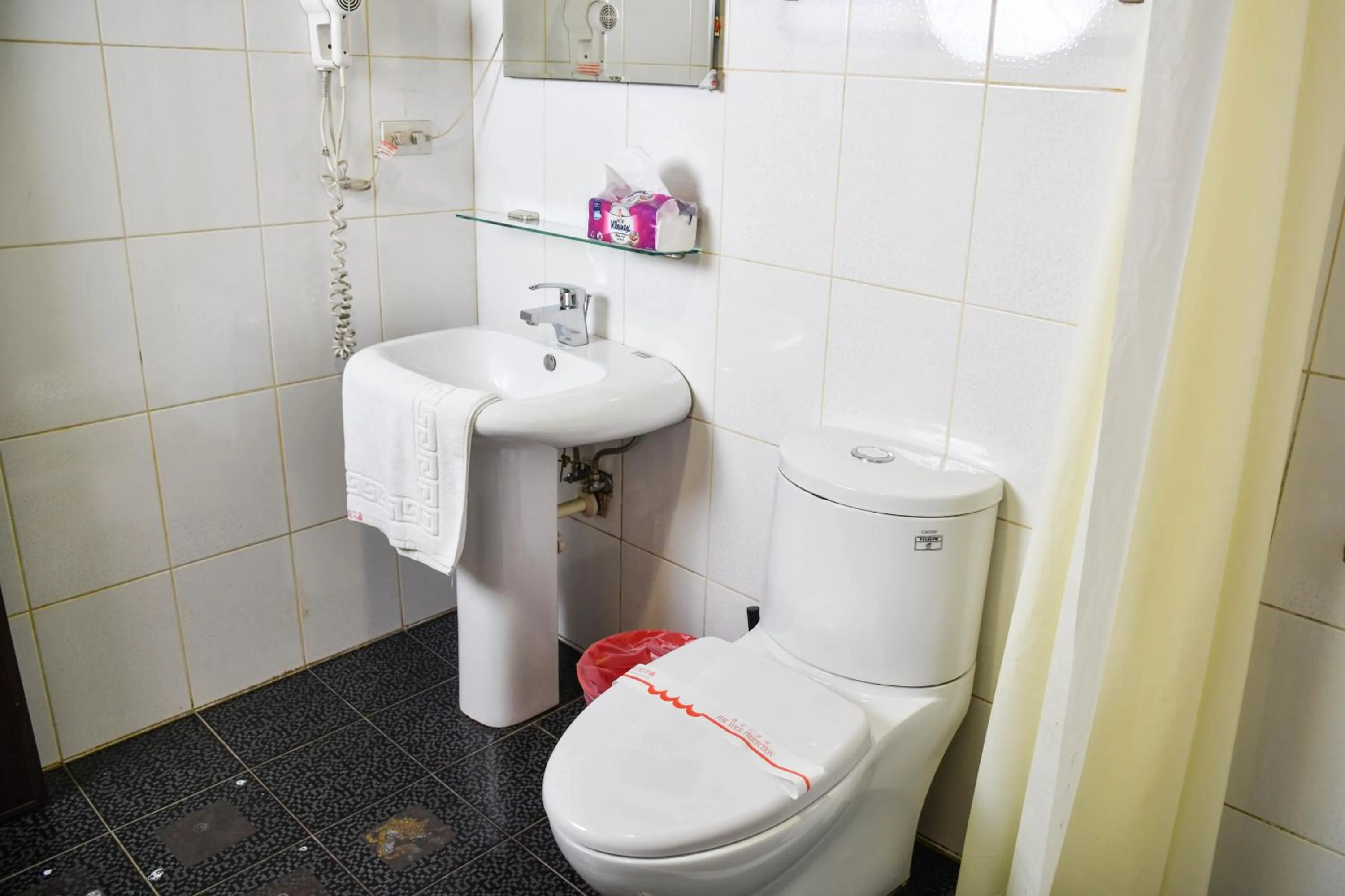 Toilet in Way Young House