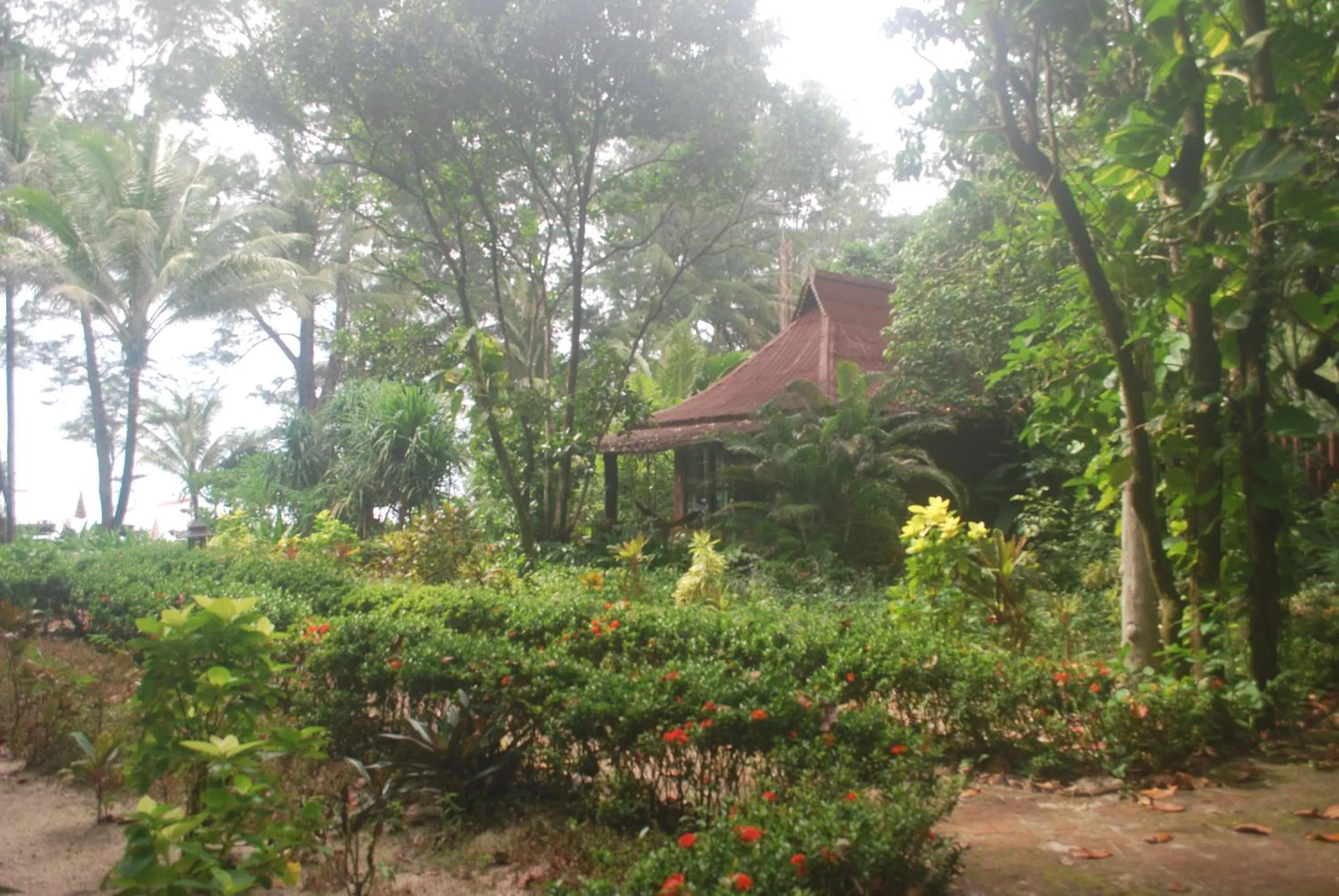 Beach in Bamboo Bungalows