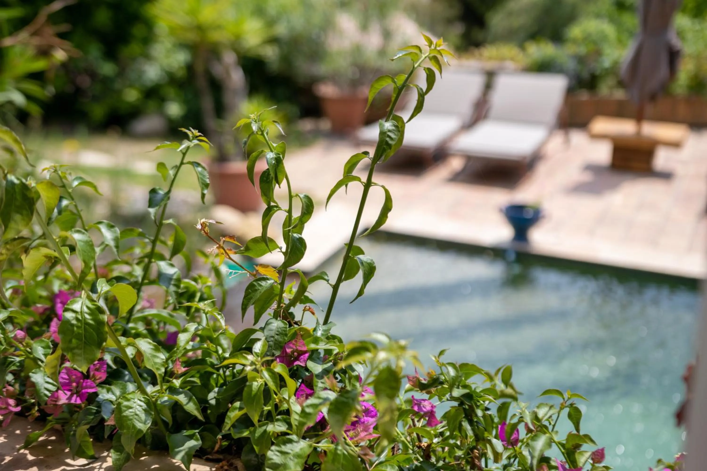 Bedroom in Le Mazet de Tourrettes