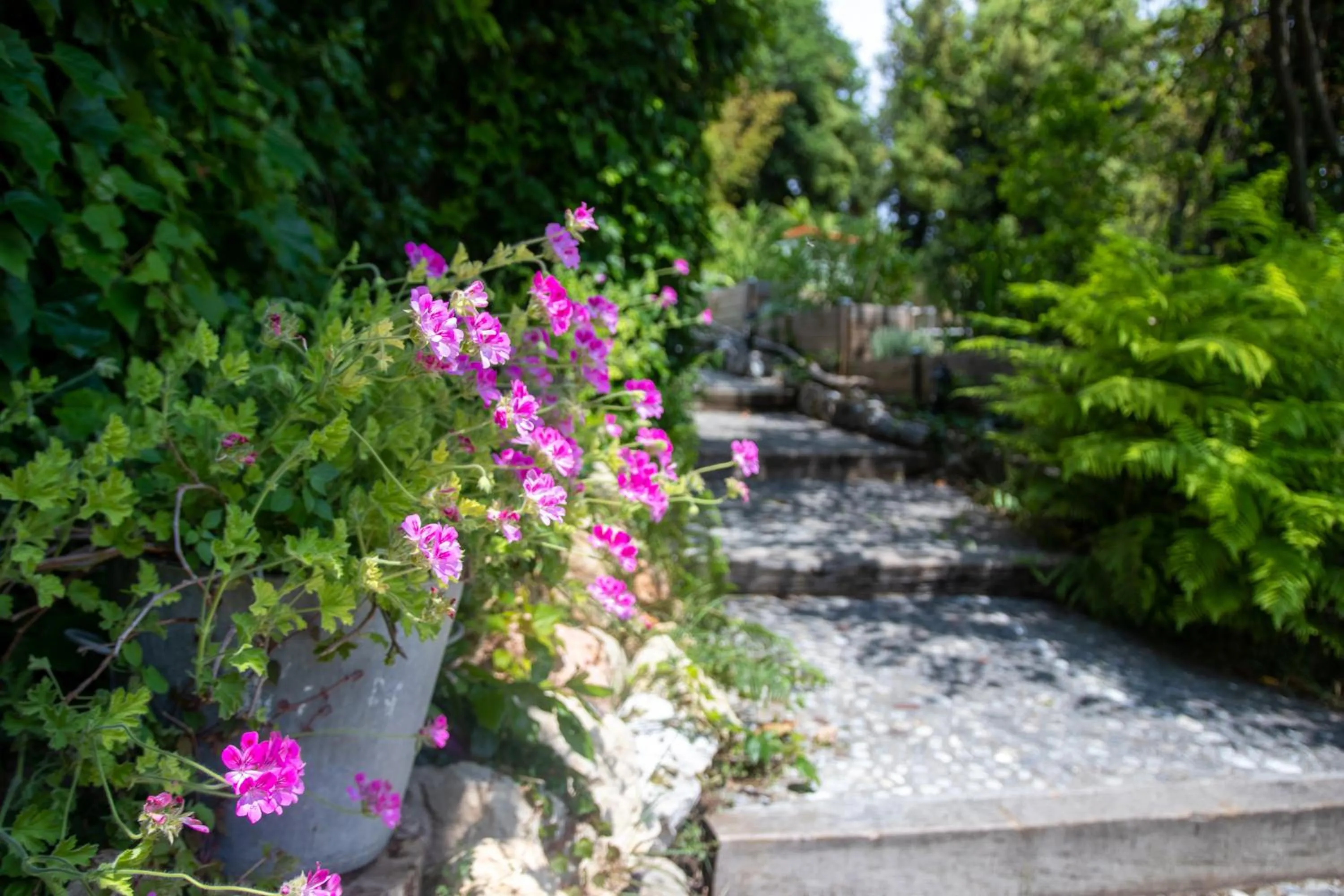 Garden in Le Mazet de Tourrettes