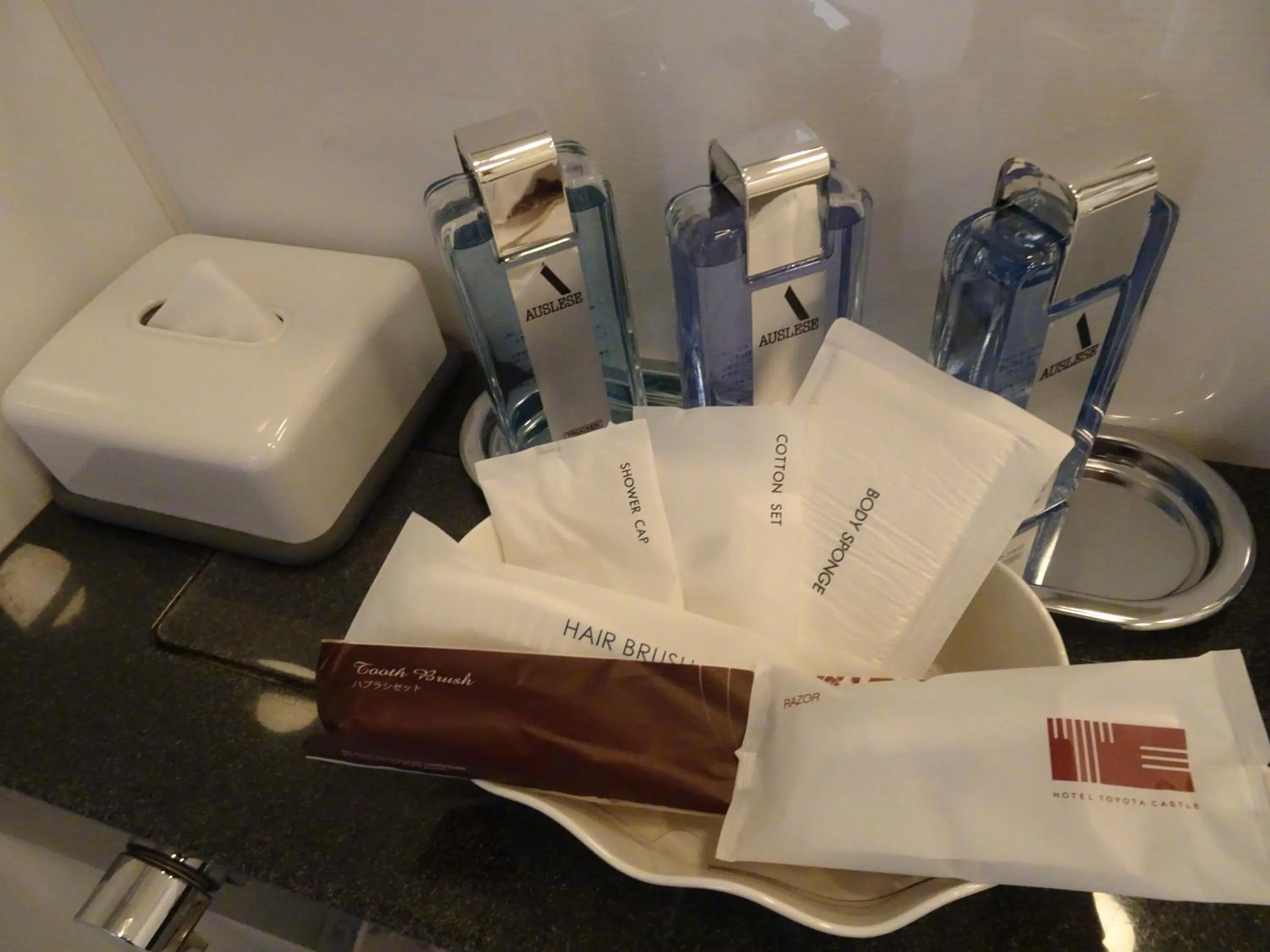 Other in Hotel Toyota Castle