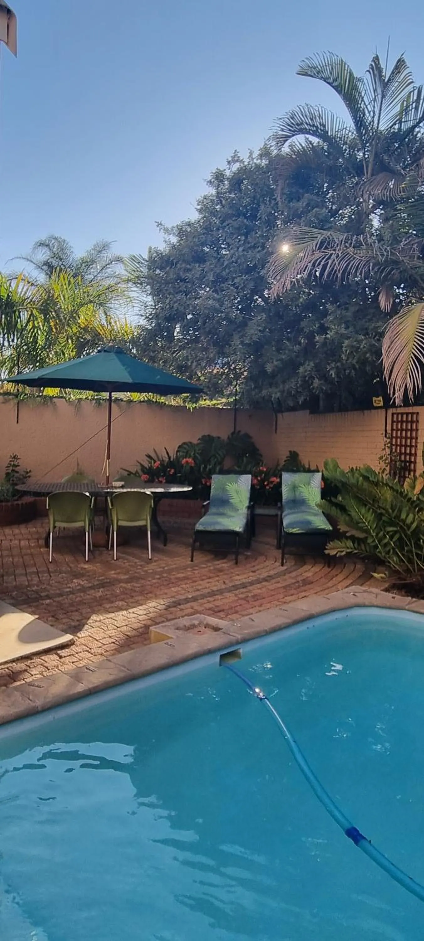 Swimming pool in The Leopard Tree