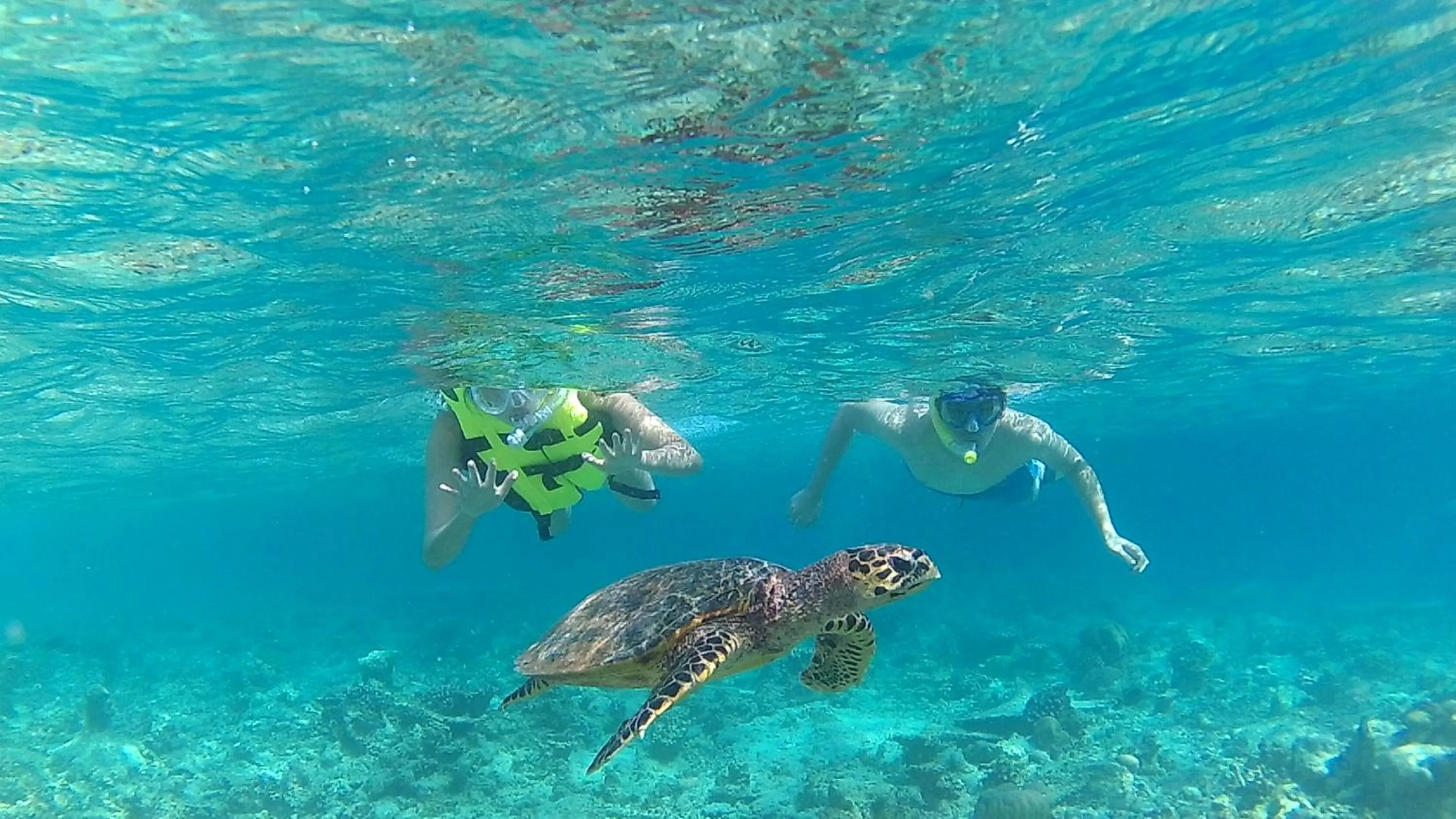 Snorkeling in Holiday Garden Rasdhoo