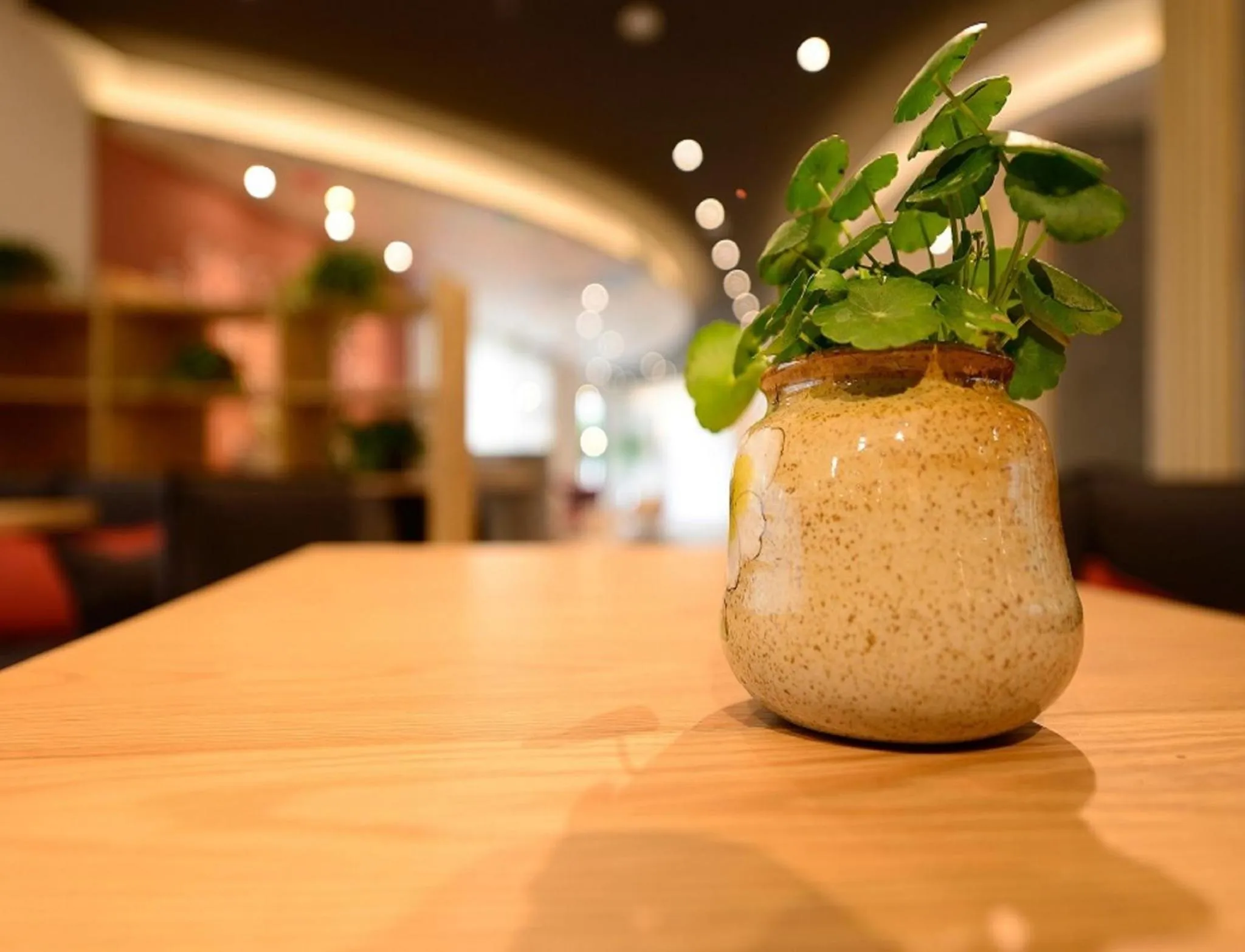 Decorative detail in Ibis Shanghai New Hongqiao