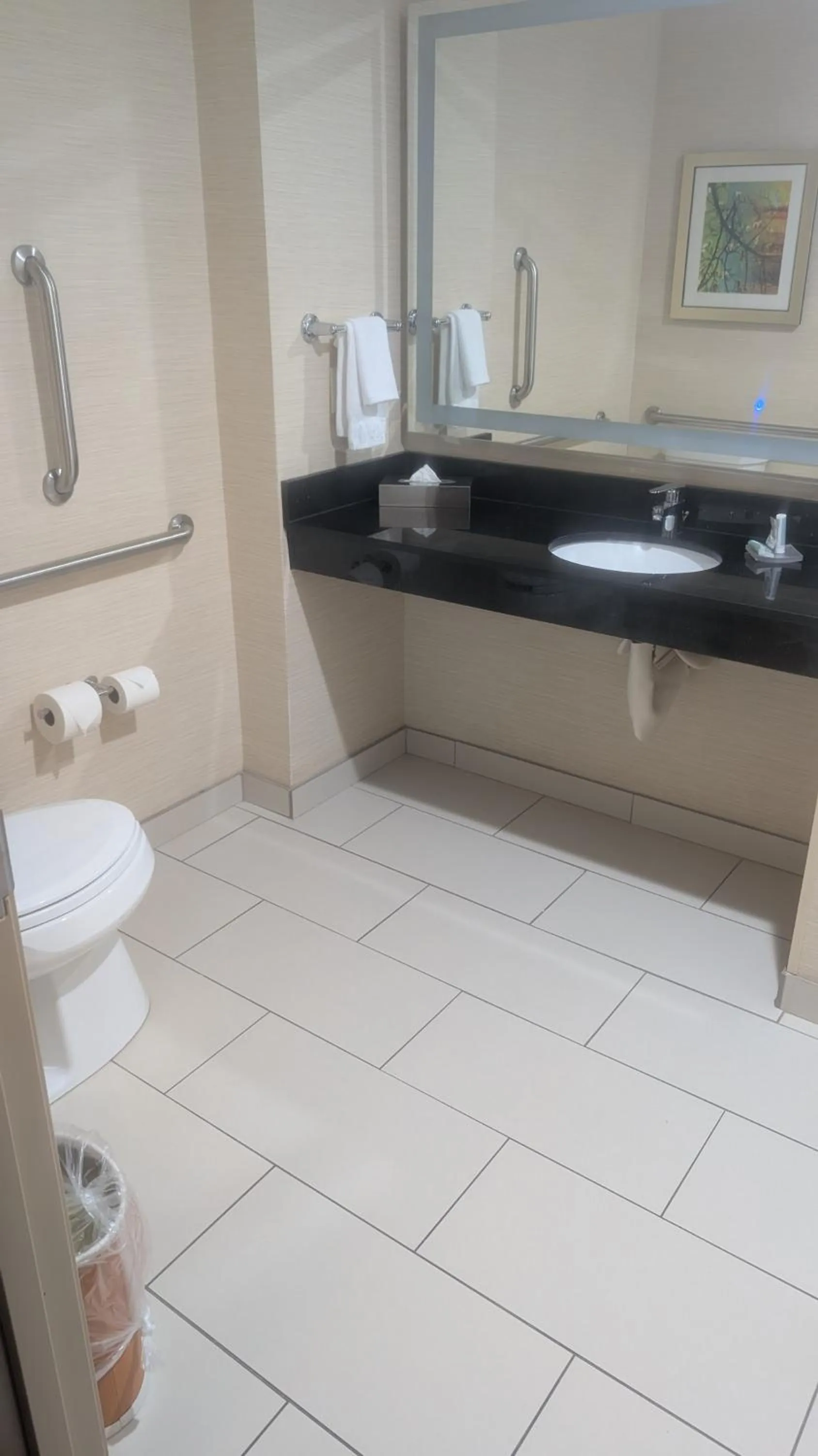 Bathroom in Fairfield Inn & Suites by Marriott Detroit Troy