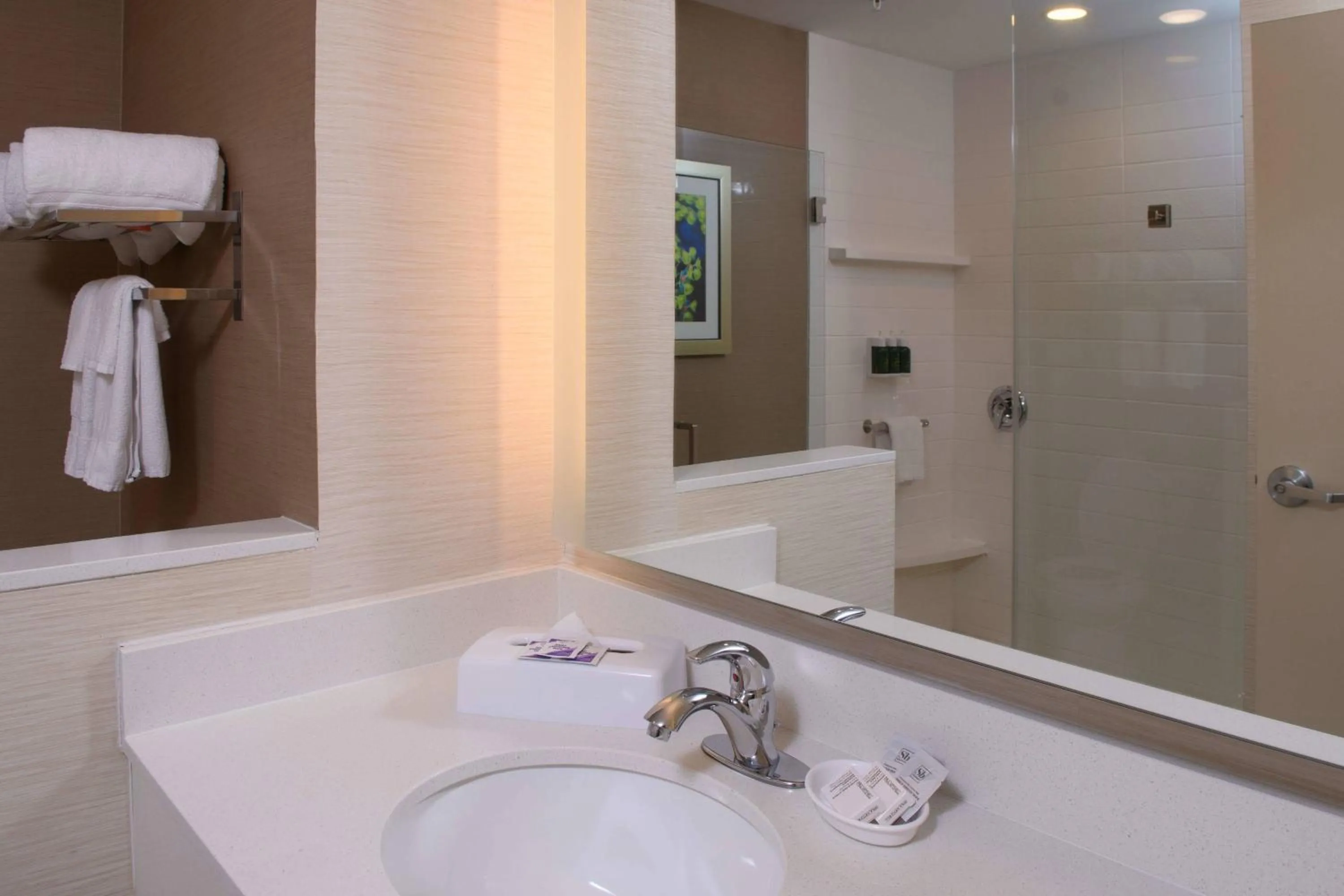 Bathroom in Fairfield Inn & Suites by Marriott Richmond Ashland