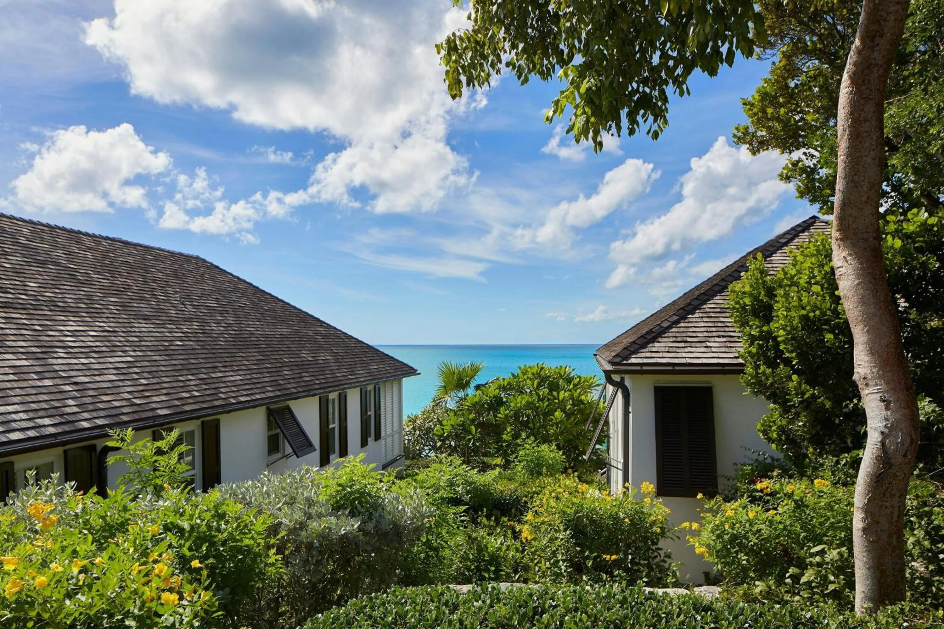 View (from property/room) in French Leave Resort, Autograph Collection
