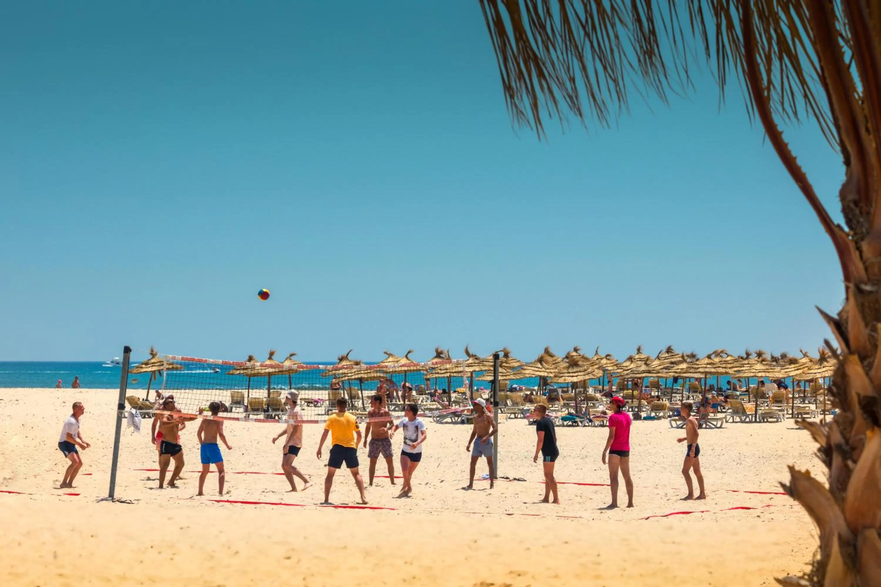 Activities in Concorde Marco Polo