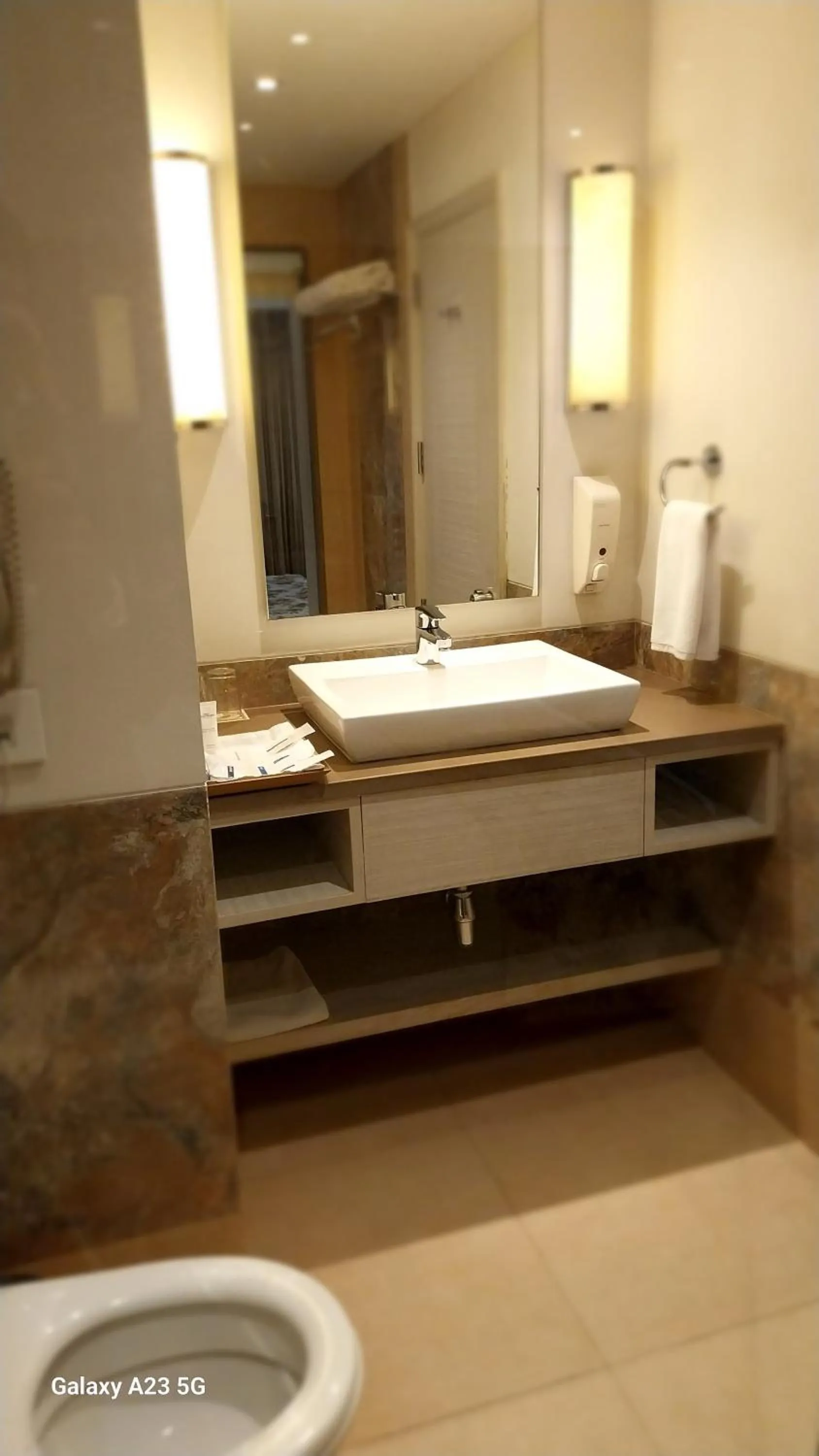 Bathroom in Efcee Sarovar Premiere Bhavnagar