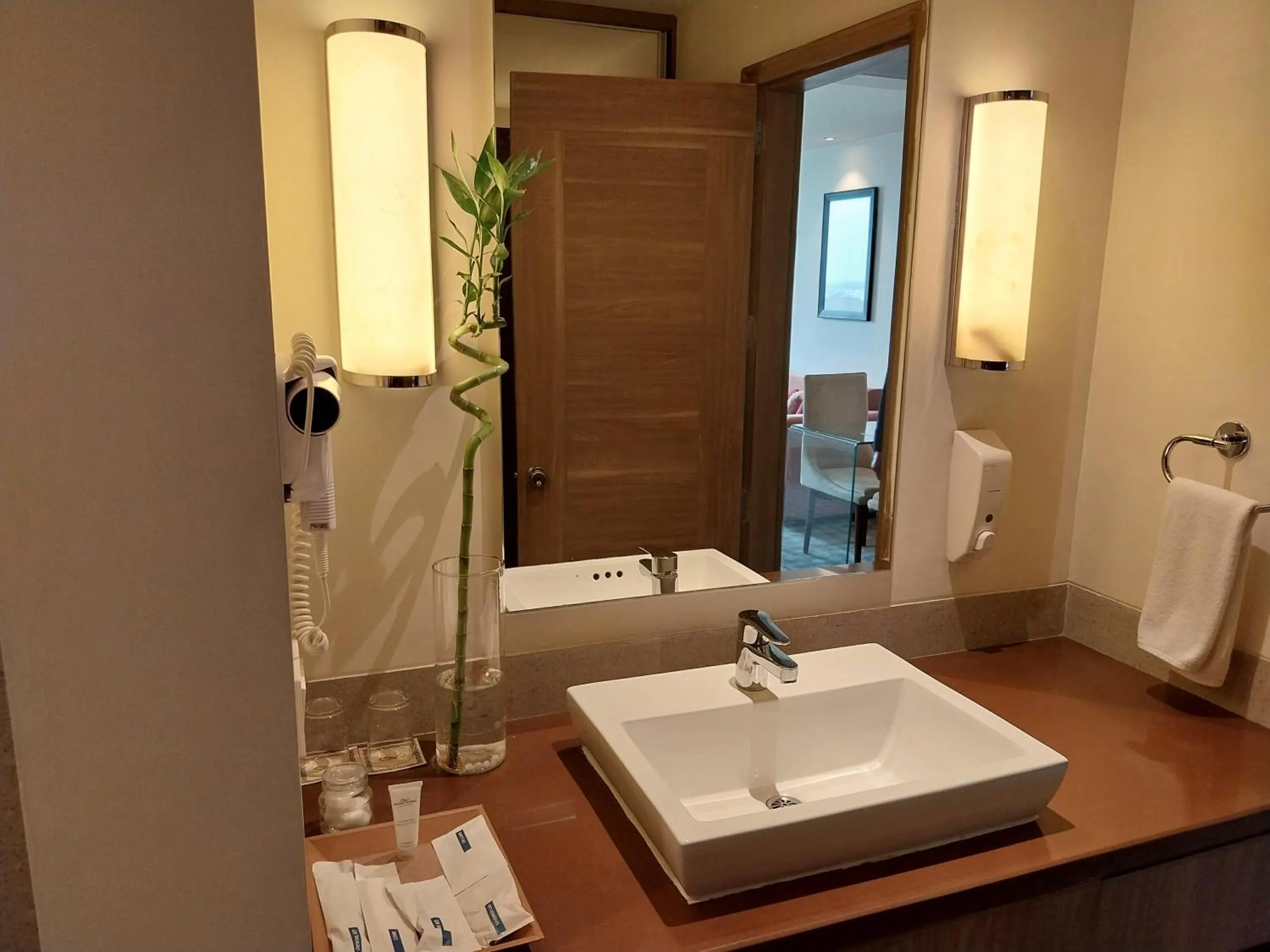 Bathroom in Efcee Sarovar Premiere Bhavnagar