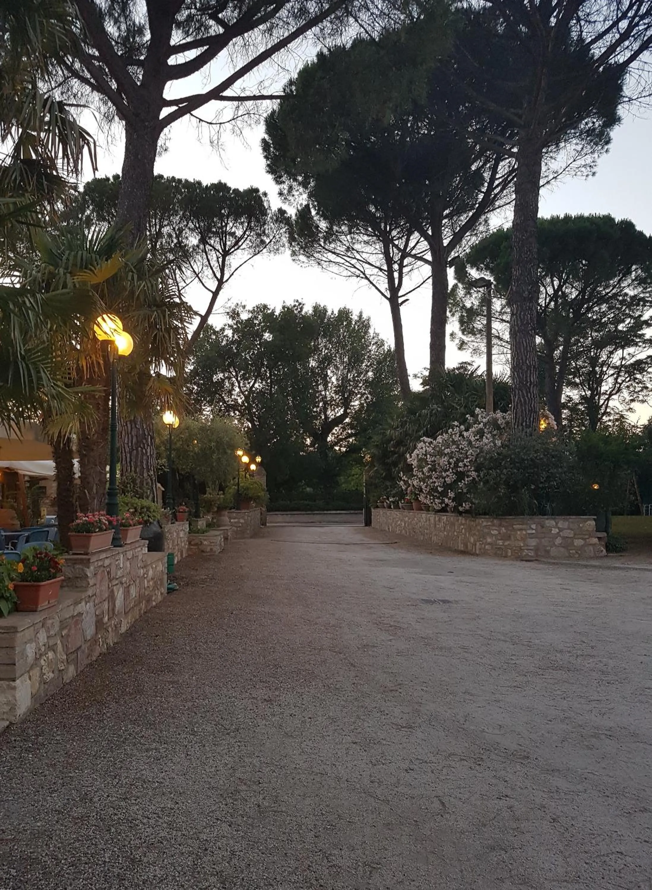 Garden in Hotel Villa Elda