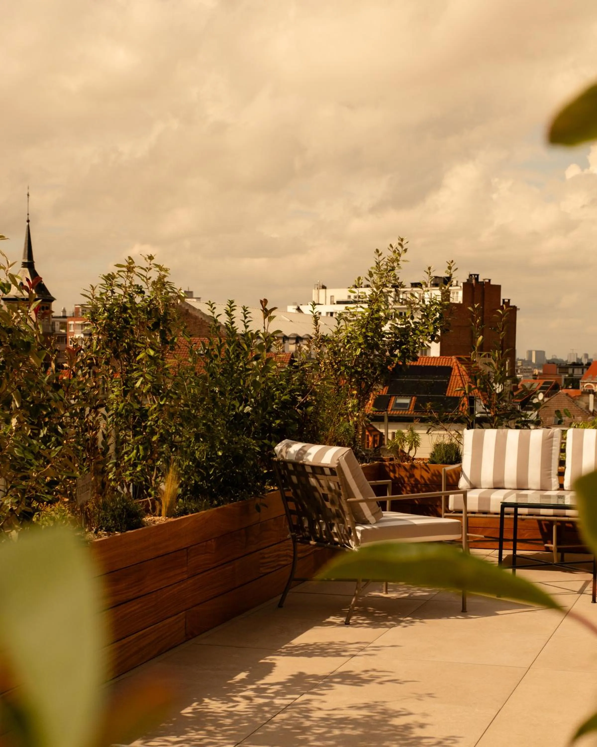 City view in 9Hotel Chelton