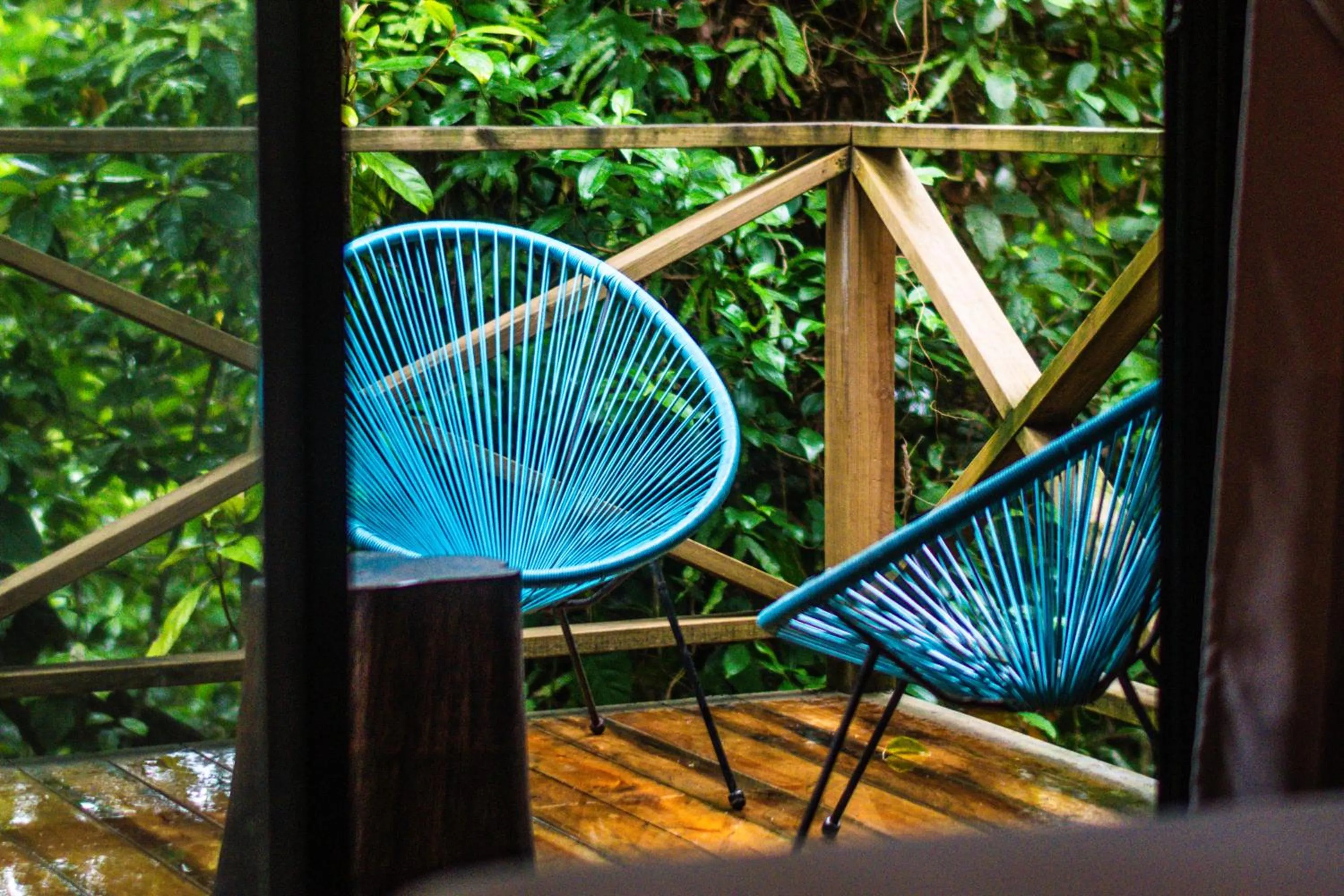 View (from property/room) in Socialtel Red Frog