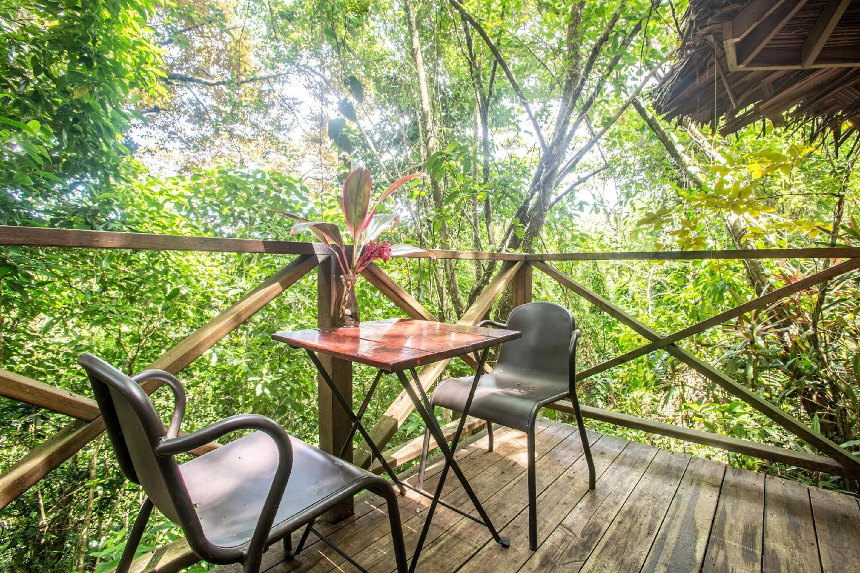 Mountain view in Socialtel Red Frog