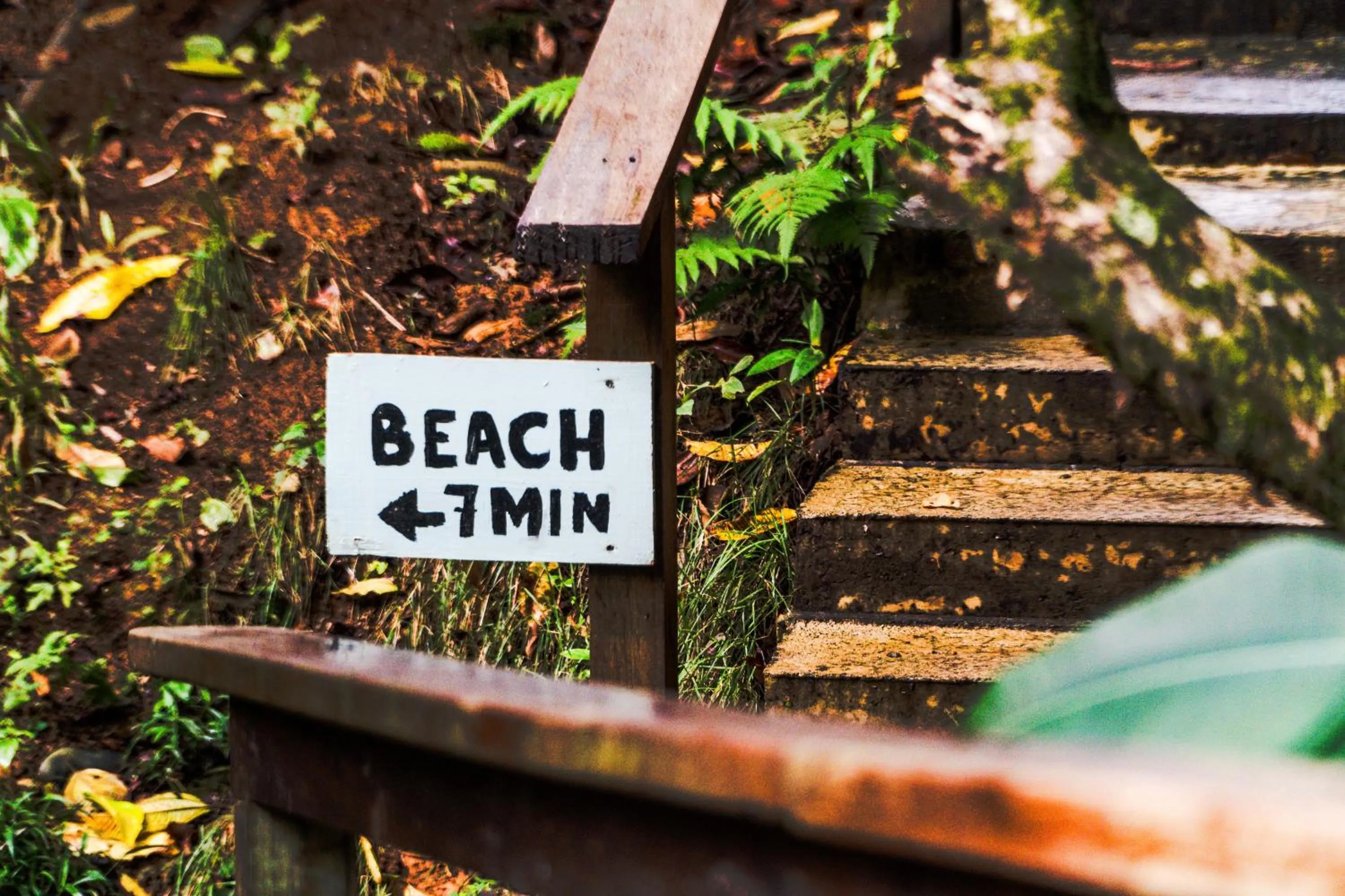 Beach in Socialtel Red Frog