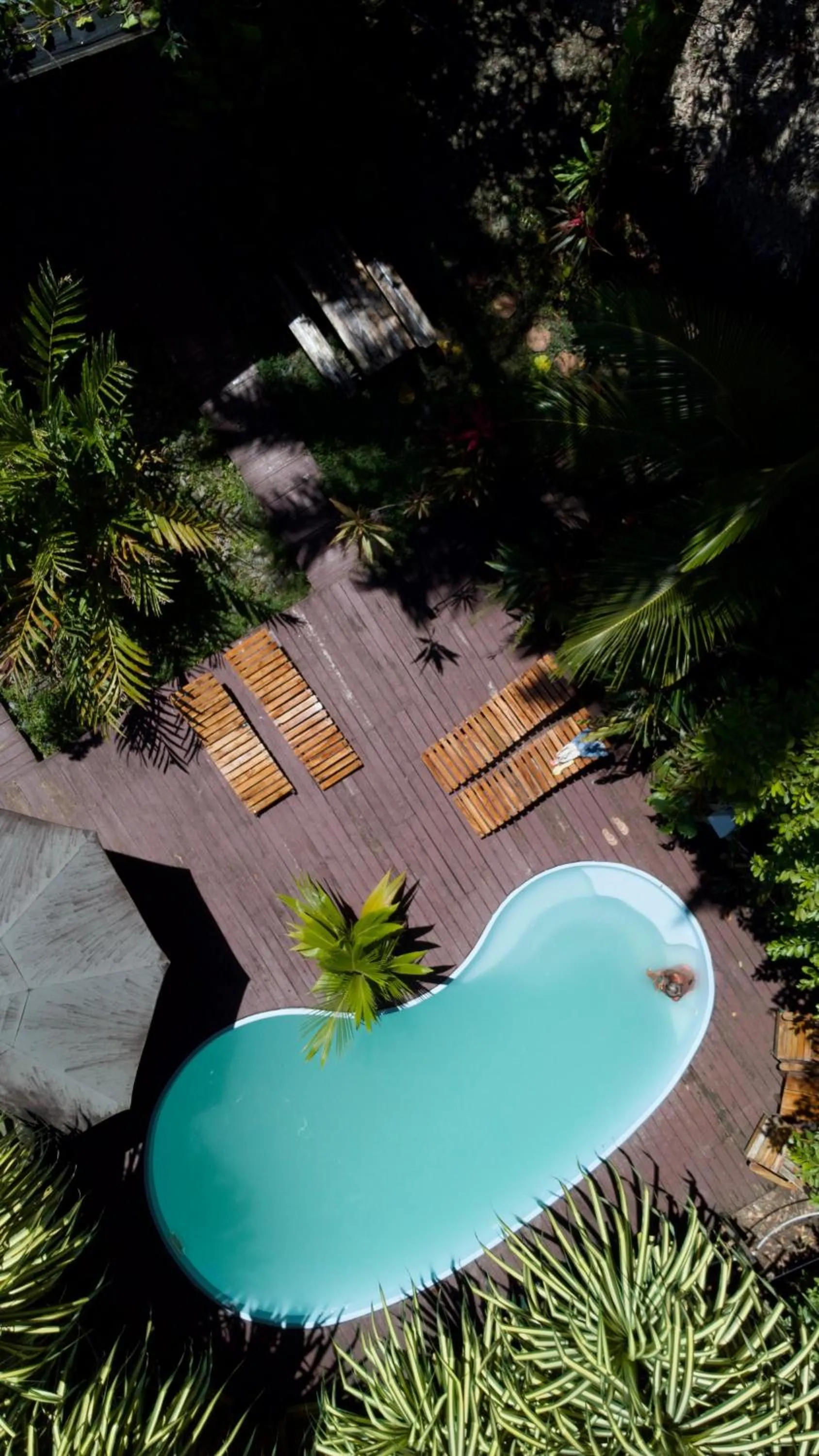 Property building in Socialtel Red Frog