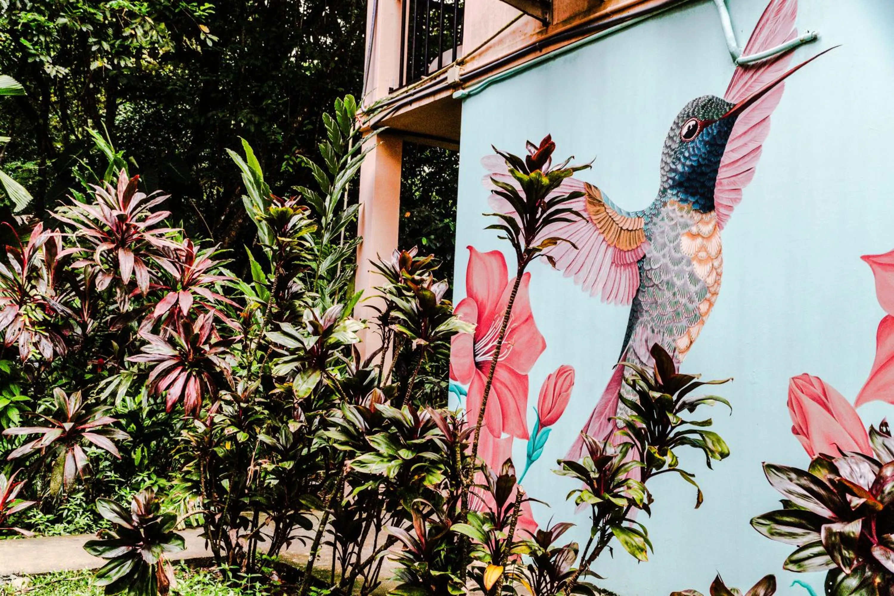 Property building in Socialtel Red Frog