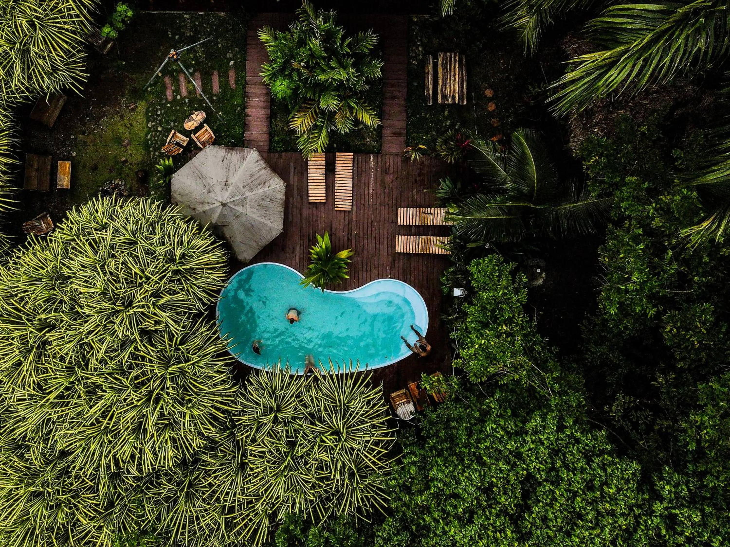 Natural landscape in Socialtel Red Frog