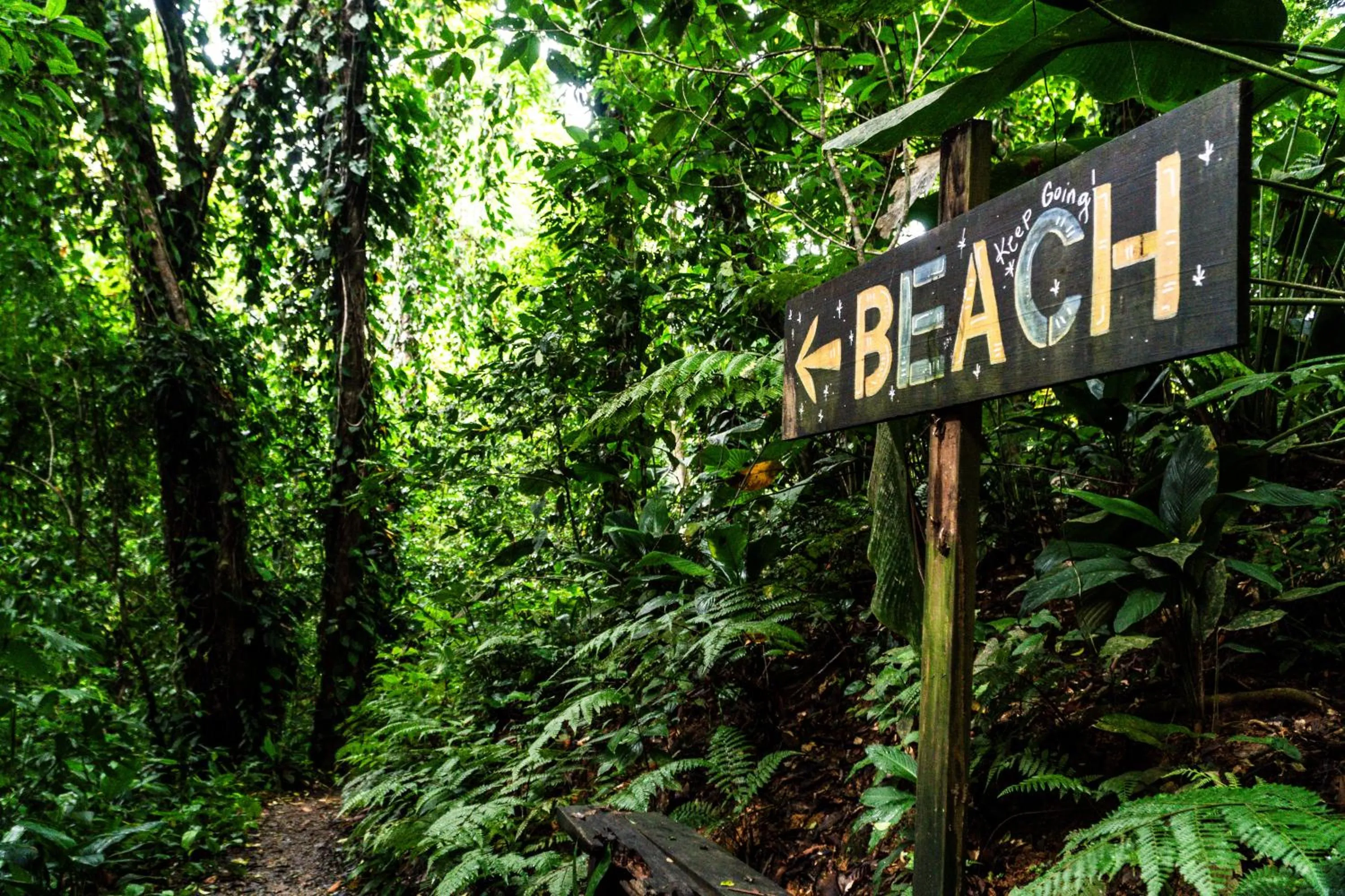 Natural landscape in Socialtel Red Frog