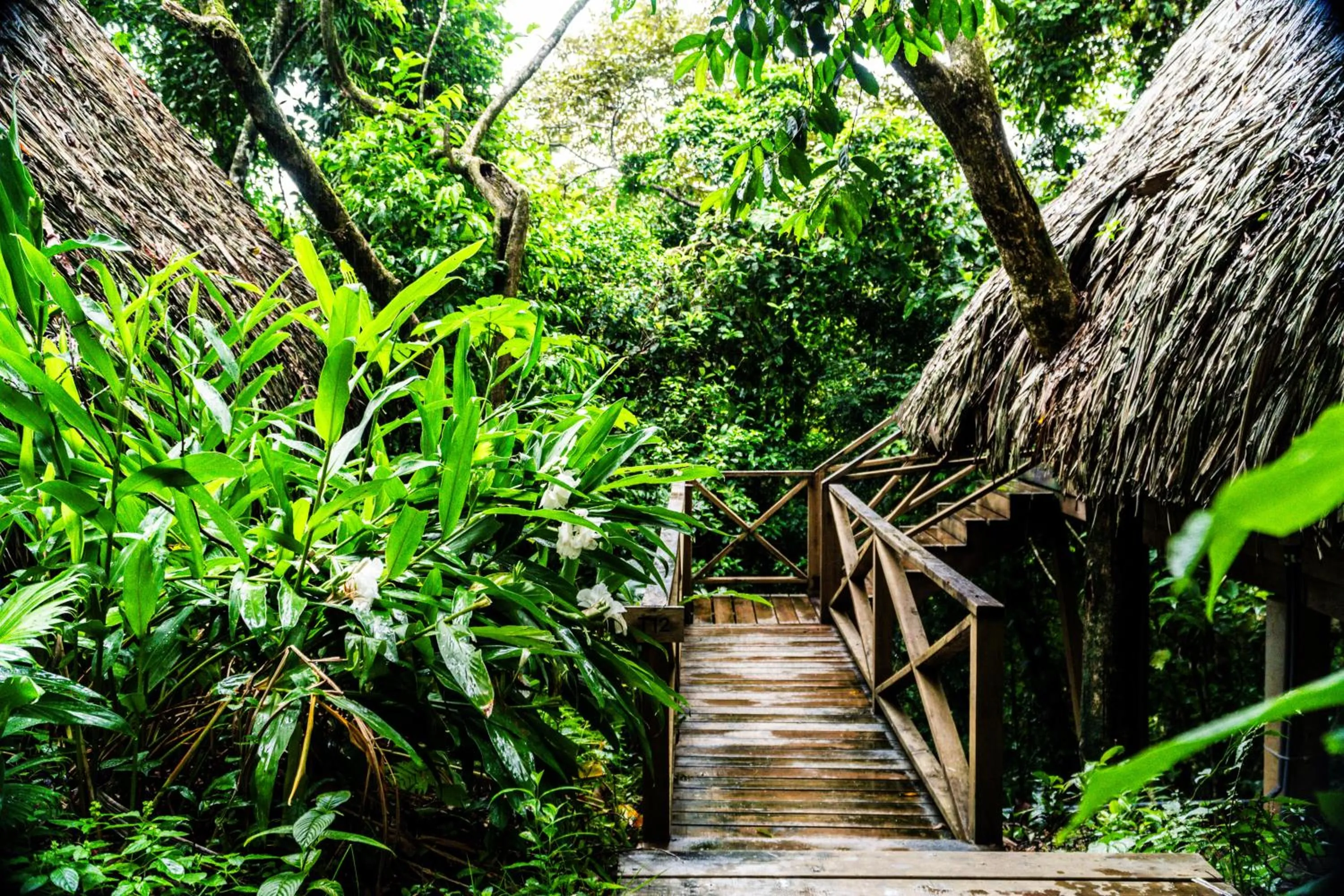 View (from property/room) in Socialtel Red Frog