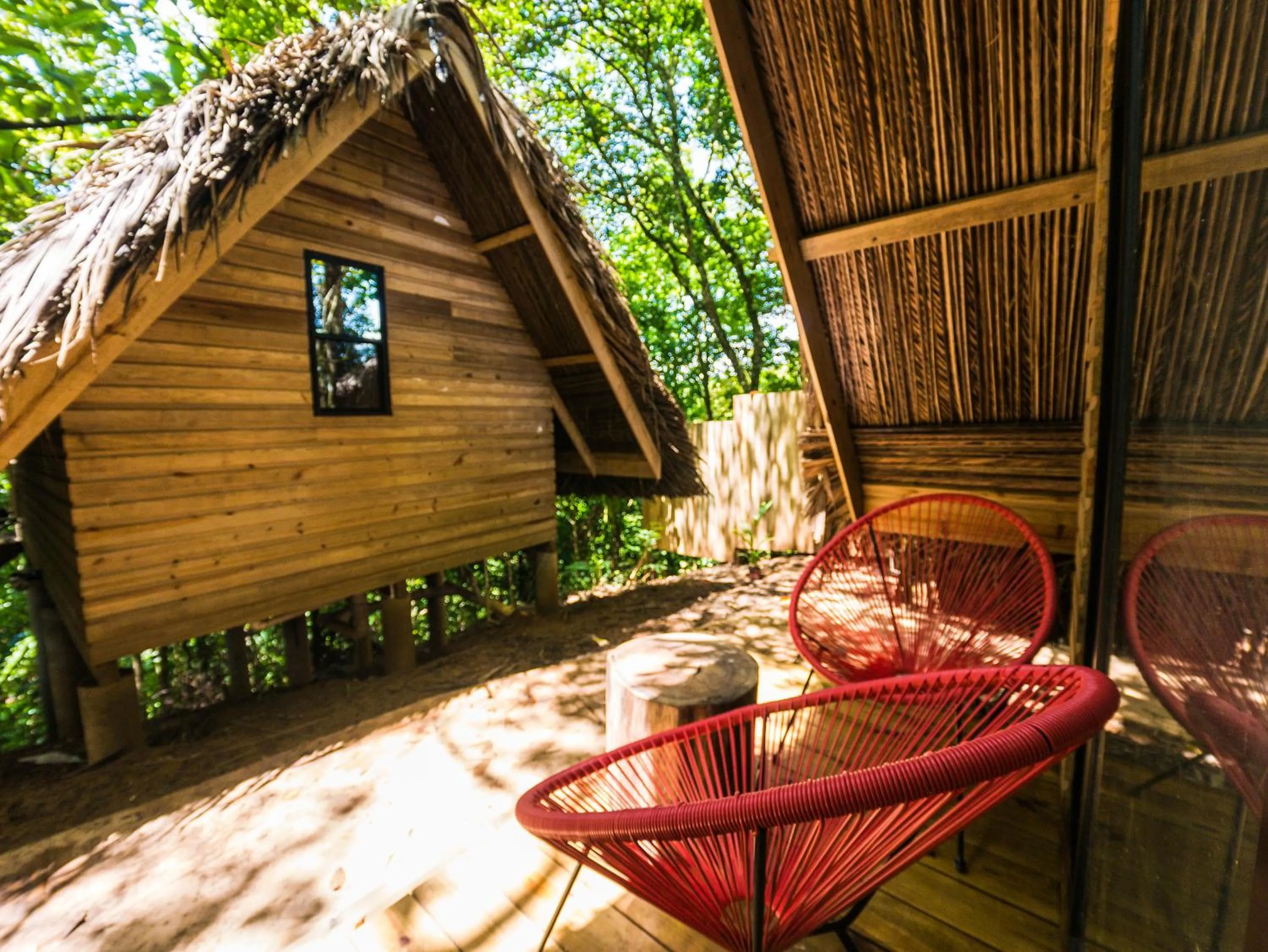 View (from property/room) in Socialtel Red Frog