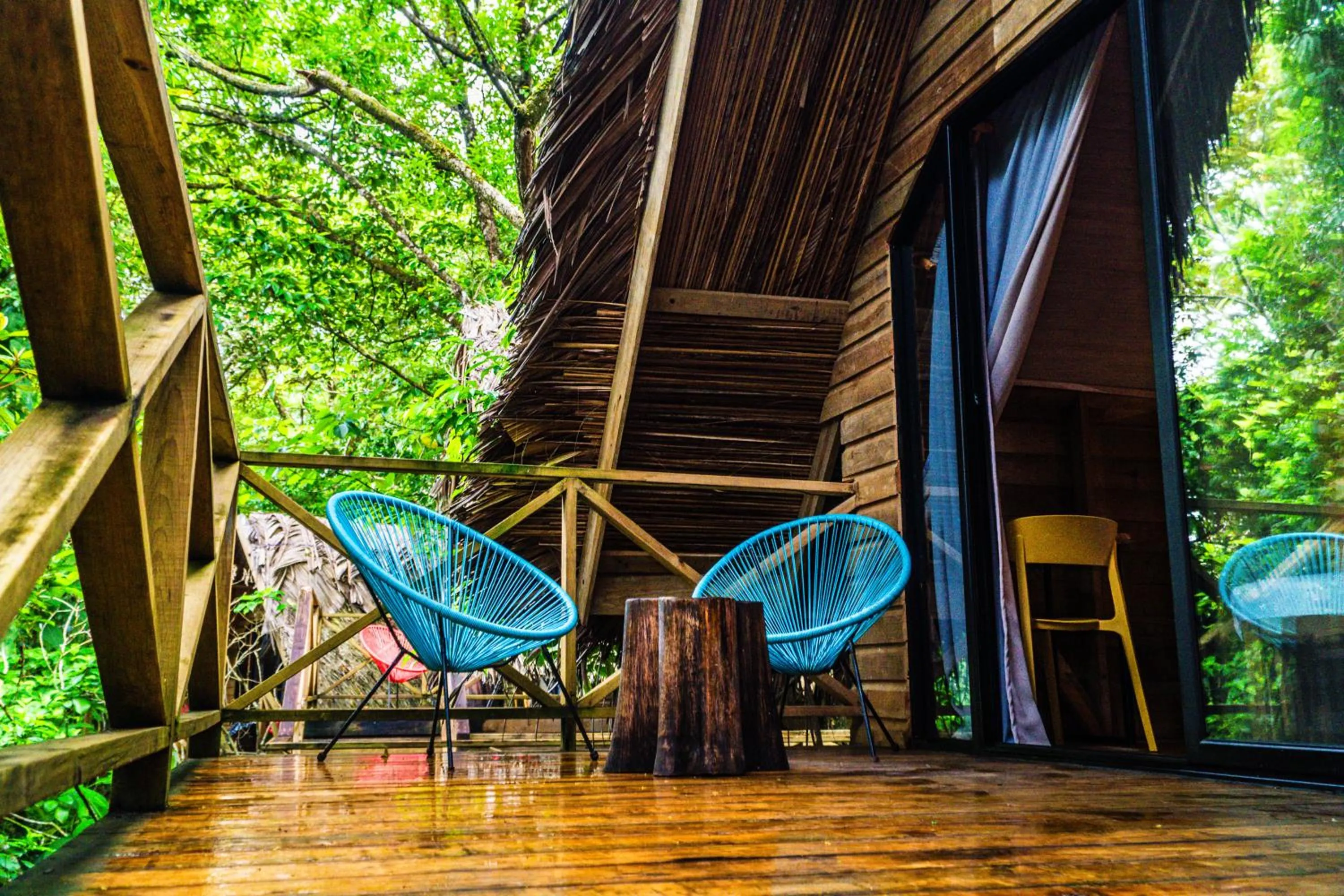 View (from property/room) in Socialtel Red Frog