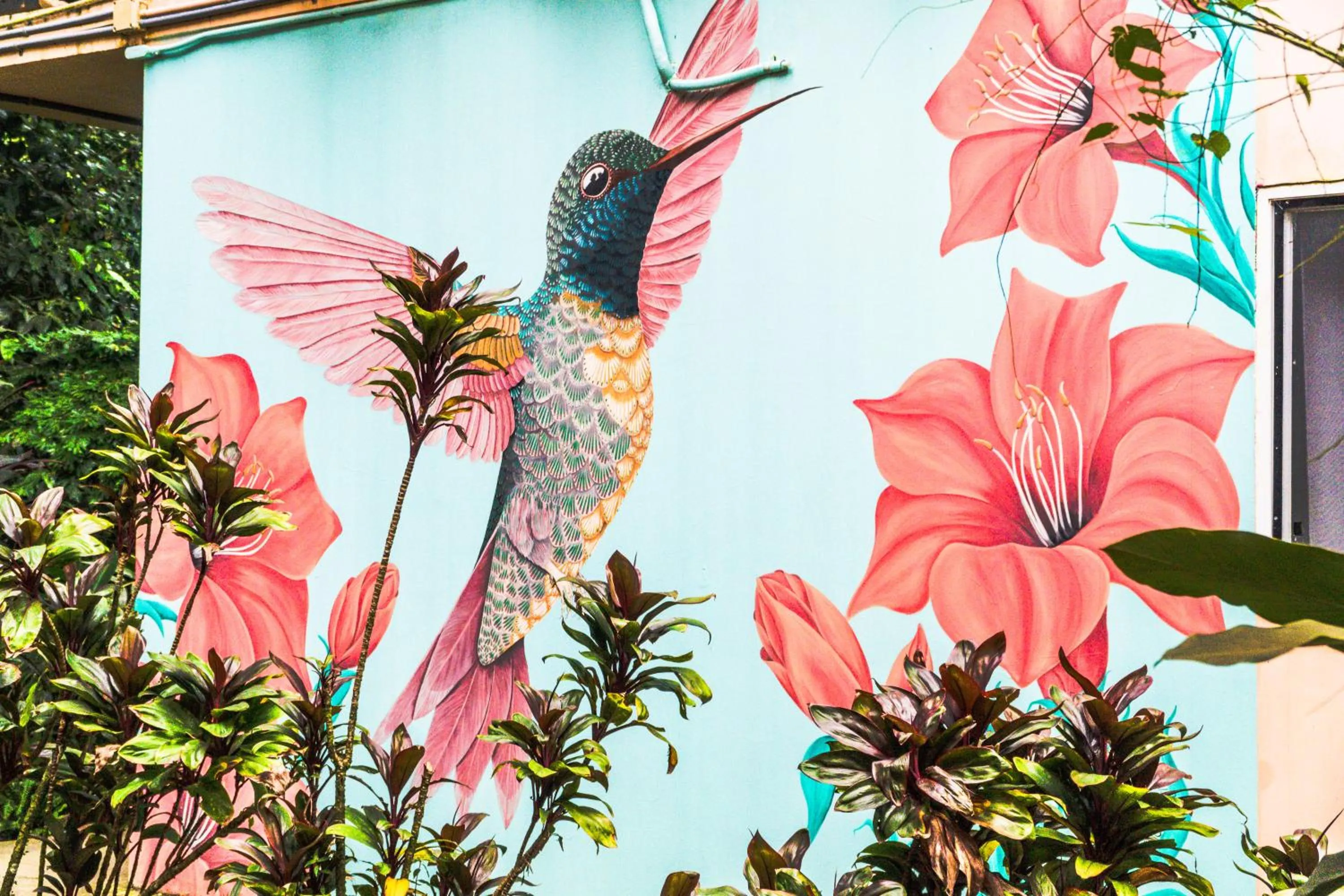 Property building in Socialtel Red Frog