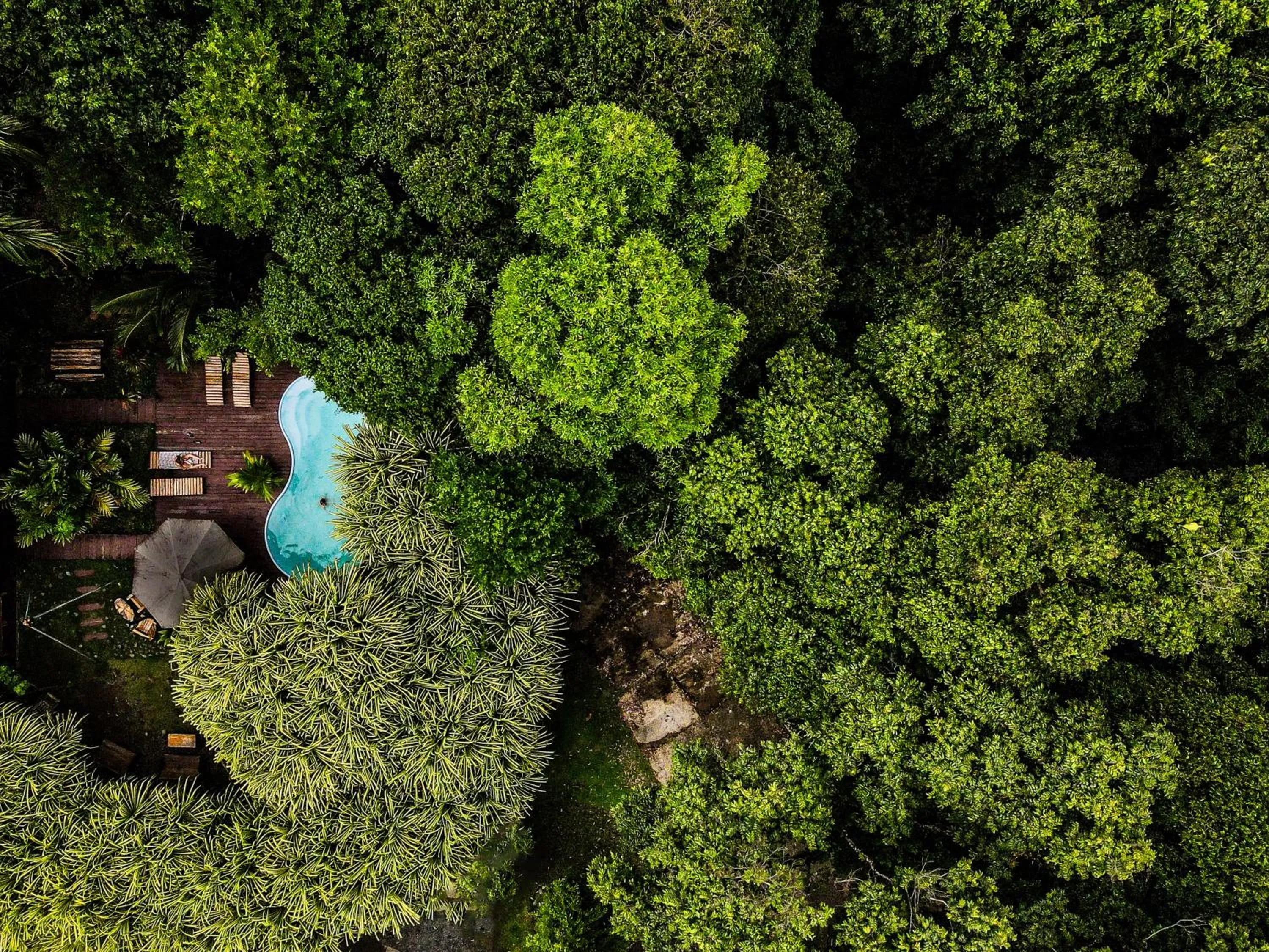 Natural landscape in Socialtel Red Frog