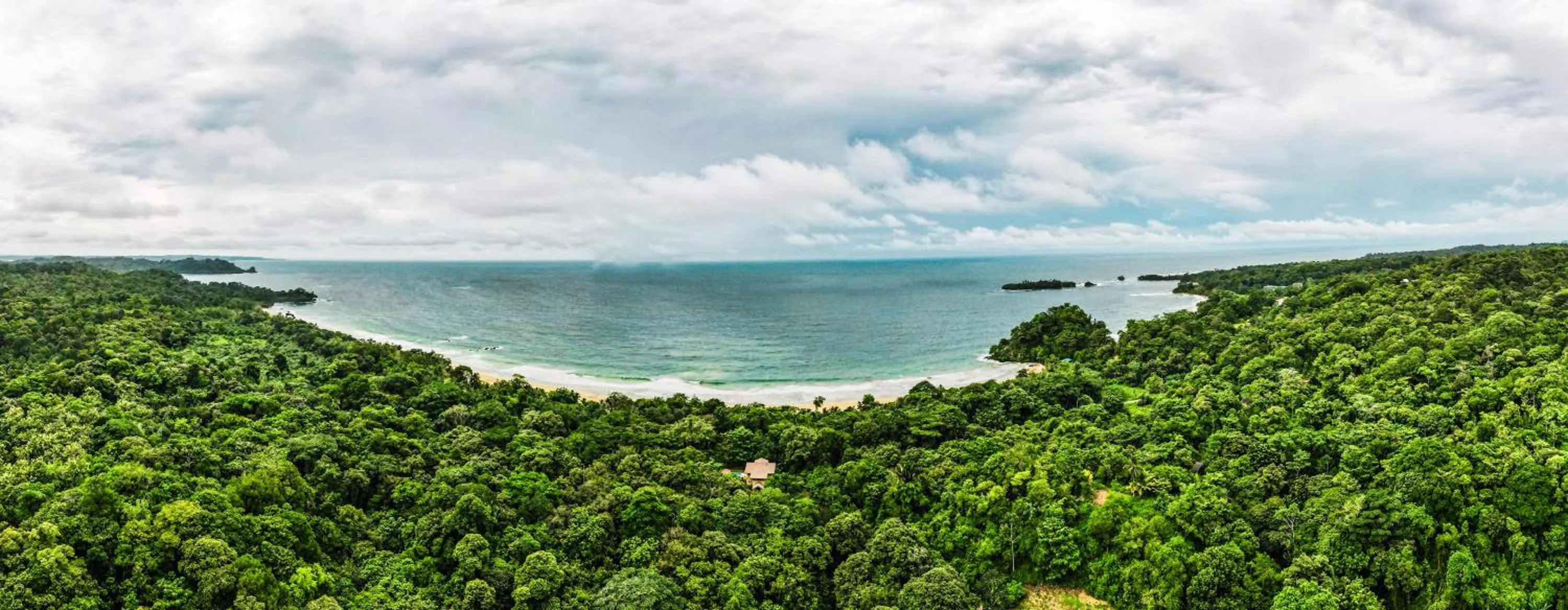 Day in Socialtel Red Frog