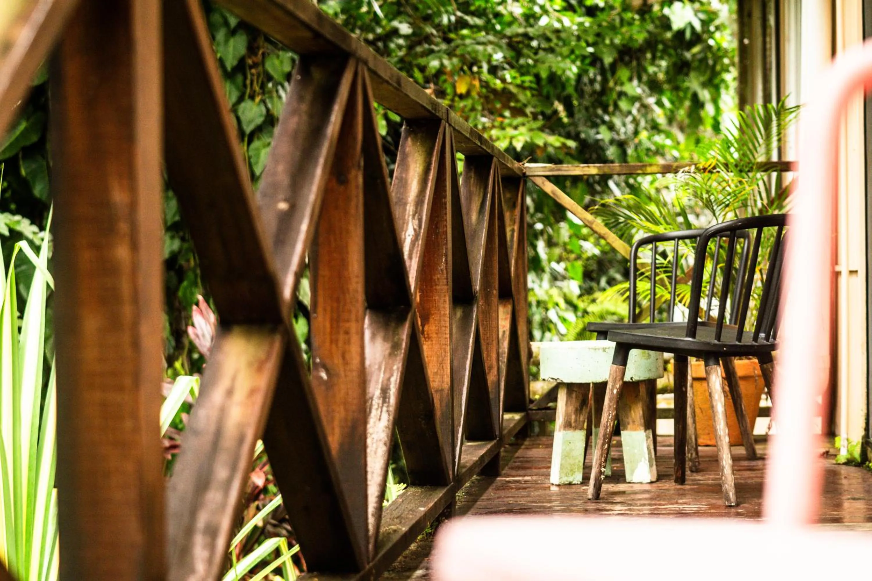 Garden view in Socialtel Red Frog