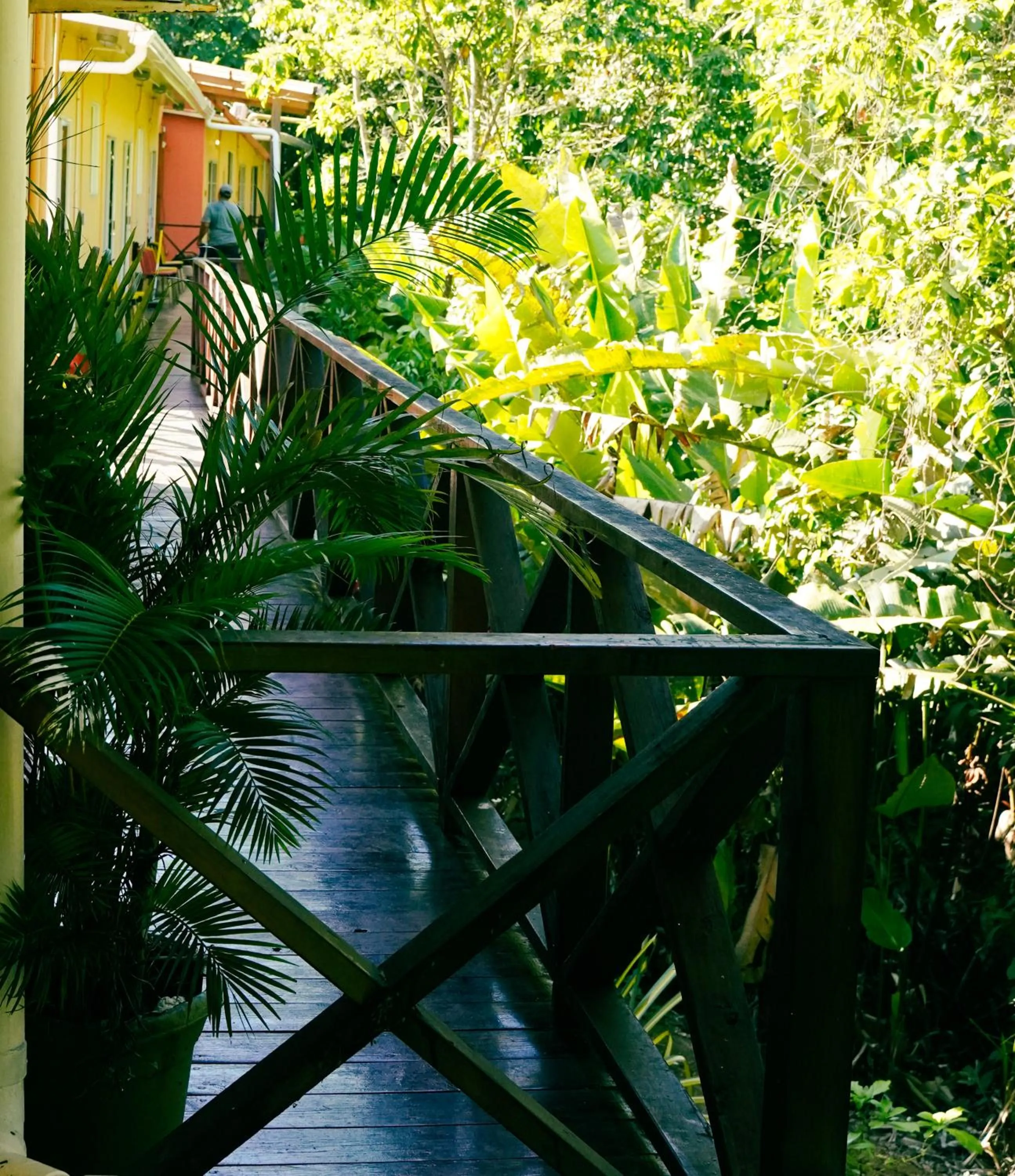 Natural landscape in Socialtel Red Frog