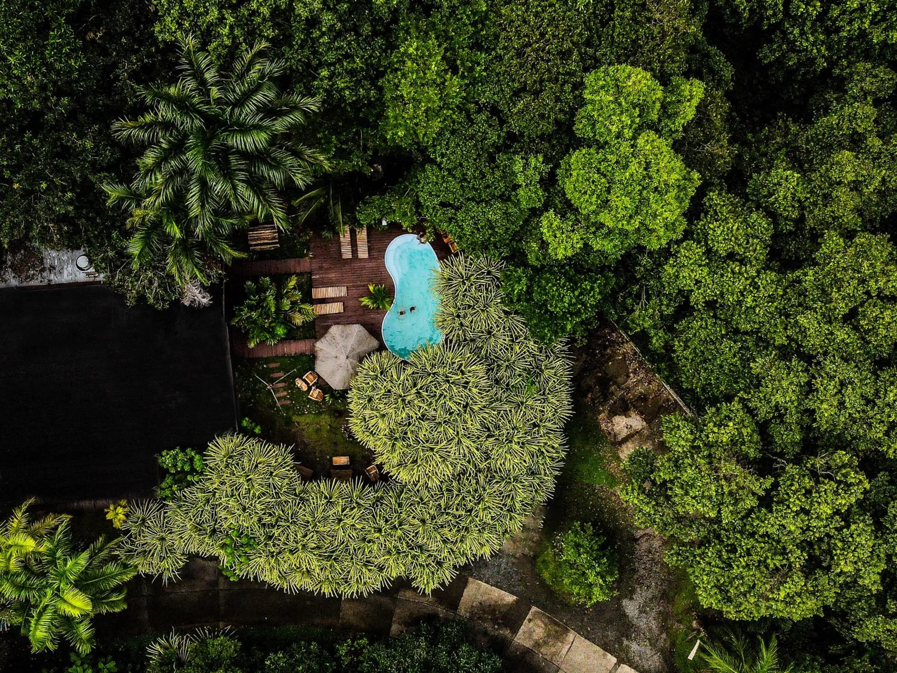 Garden view in Socialtel Red Frog