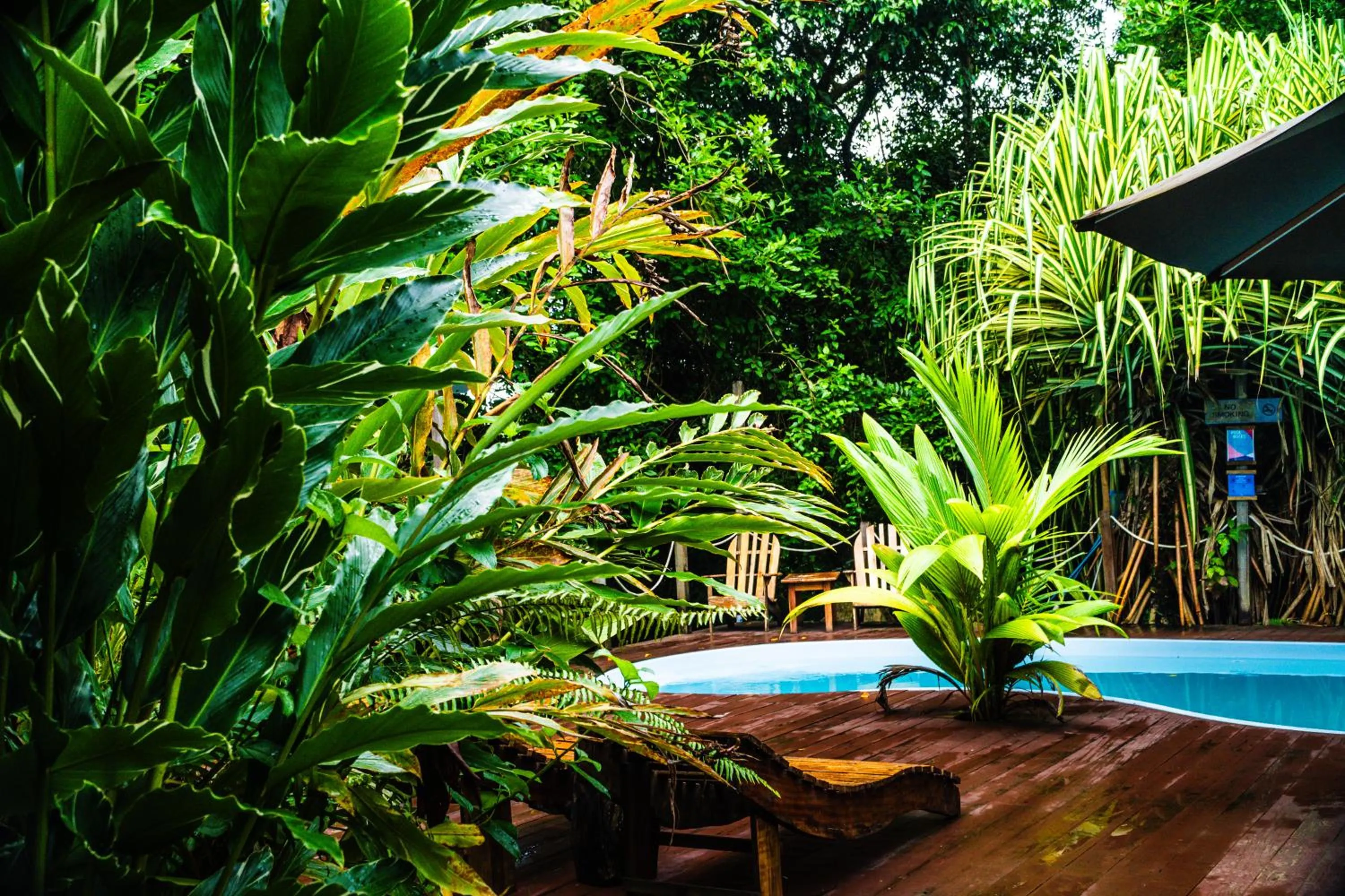 Natural landscape in Socialtel Red Frog