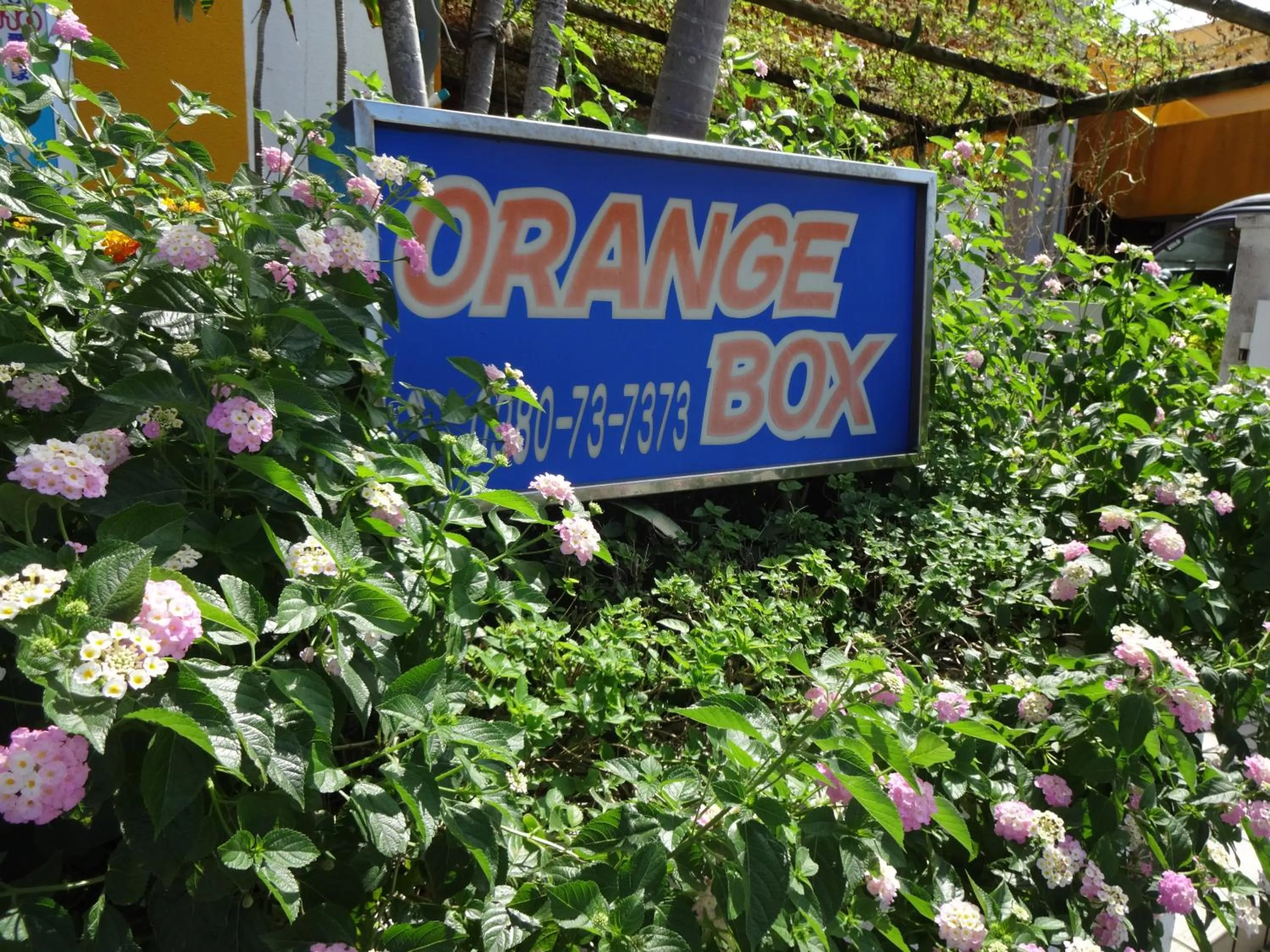 Property logo or sign in Pension Orange Box