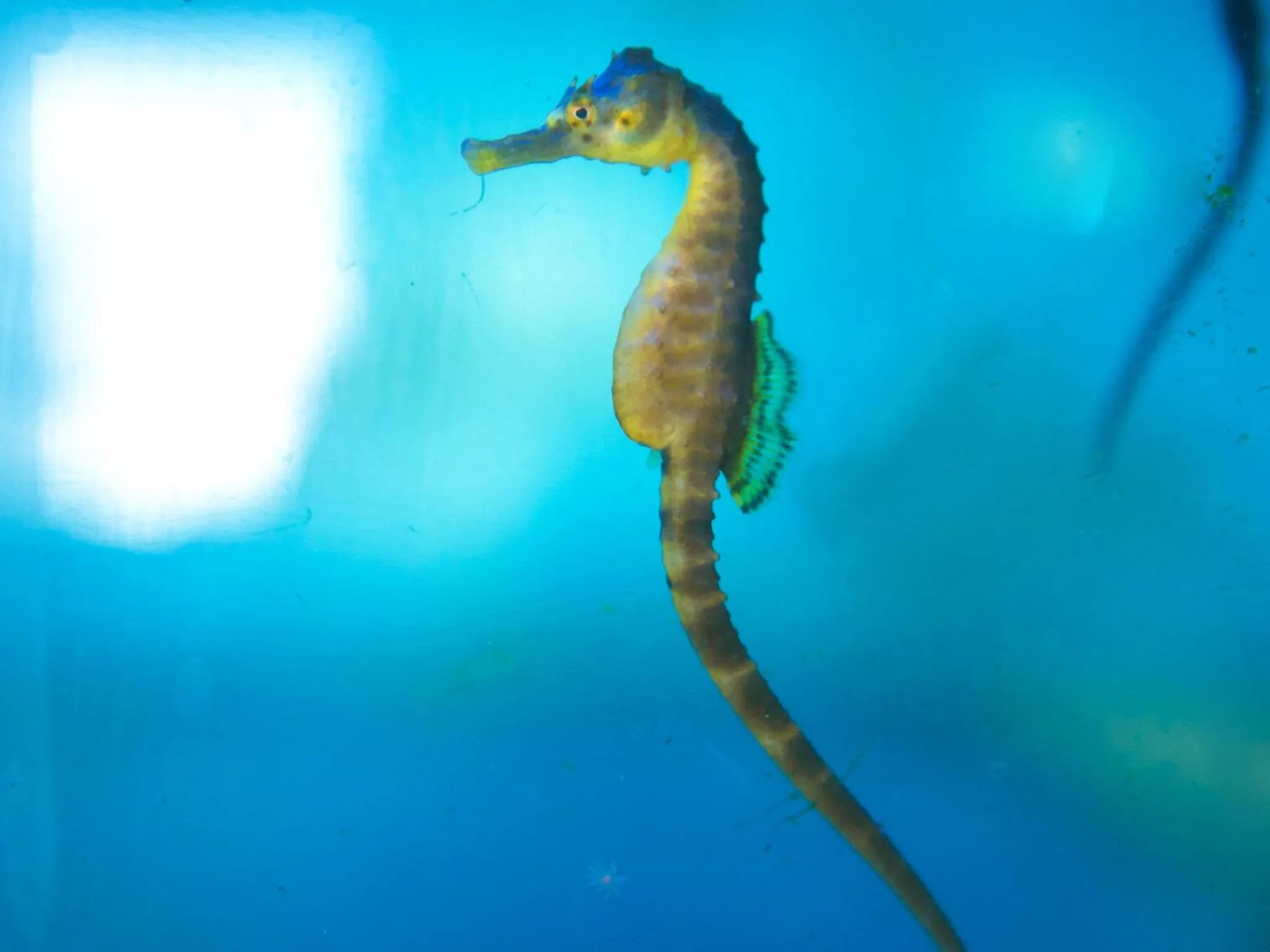 Nearby landmark in Iseebisou