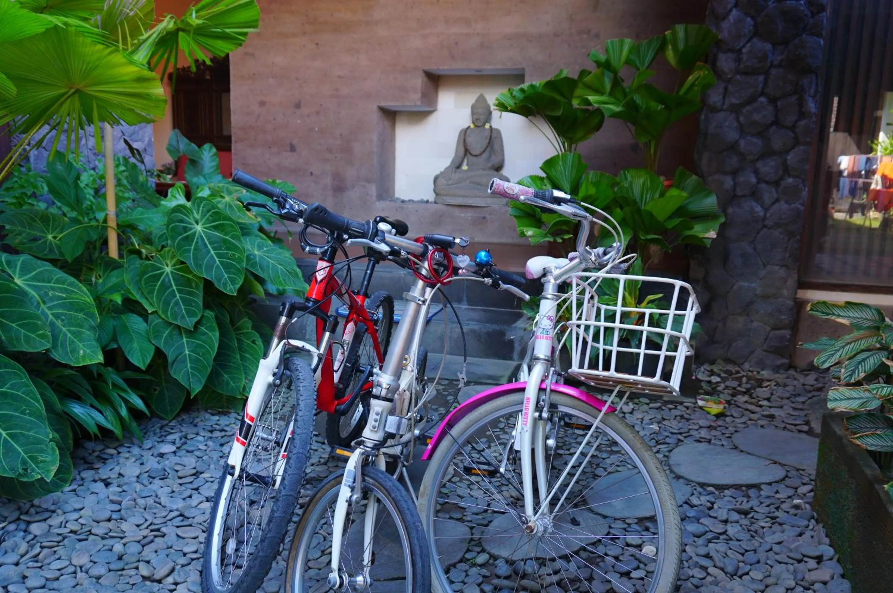 Activities in Yulia 2 Homestay Sanur