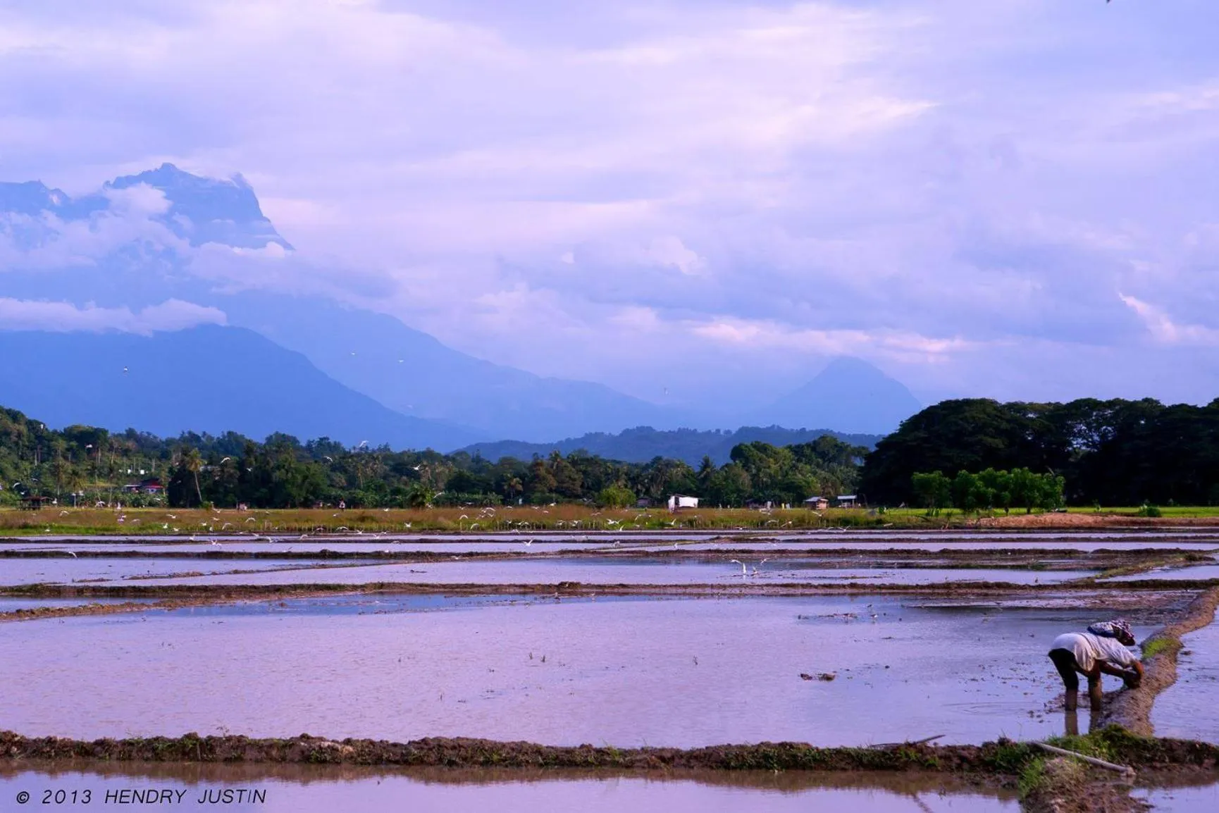 Other in Taun Gusi Village Homestay