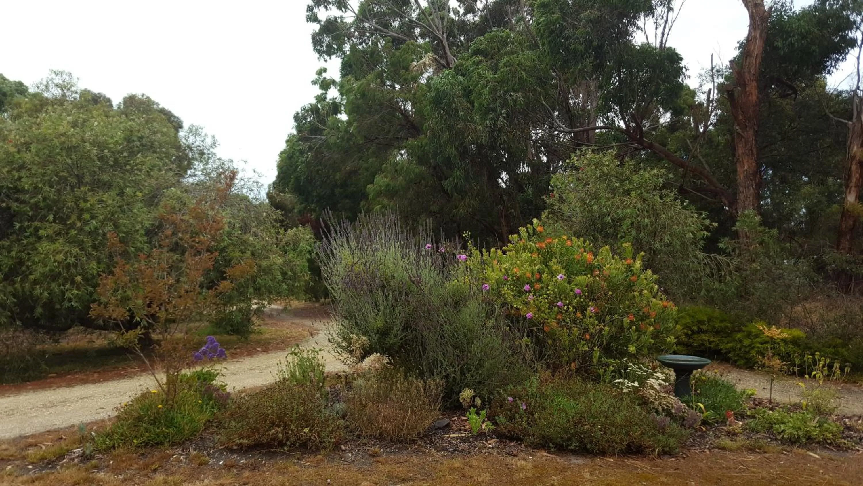 Garden in TorquayToongahra BnB